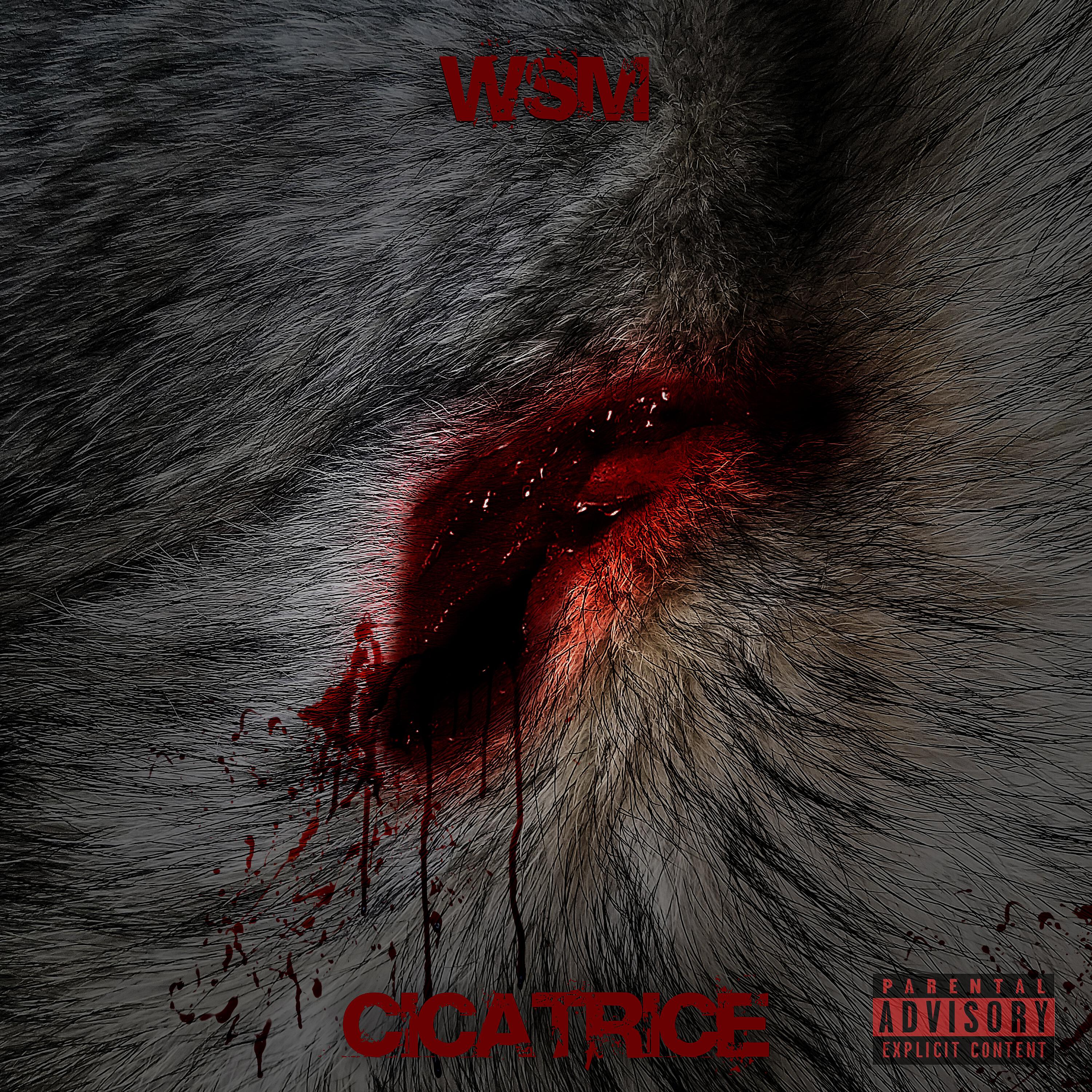 Релиз Cicatrice