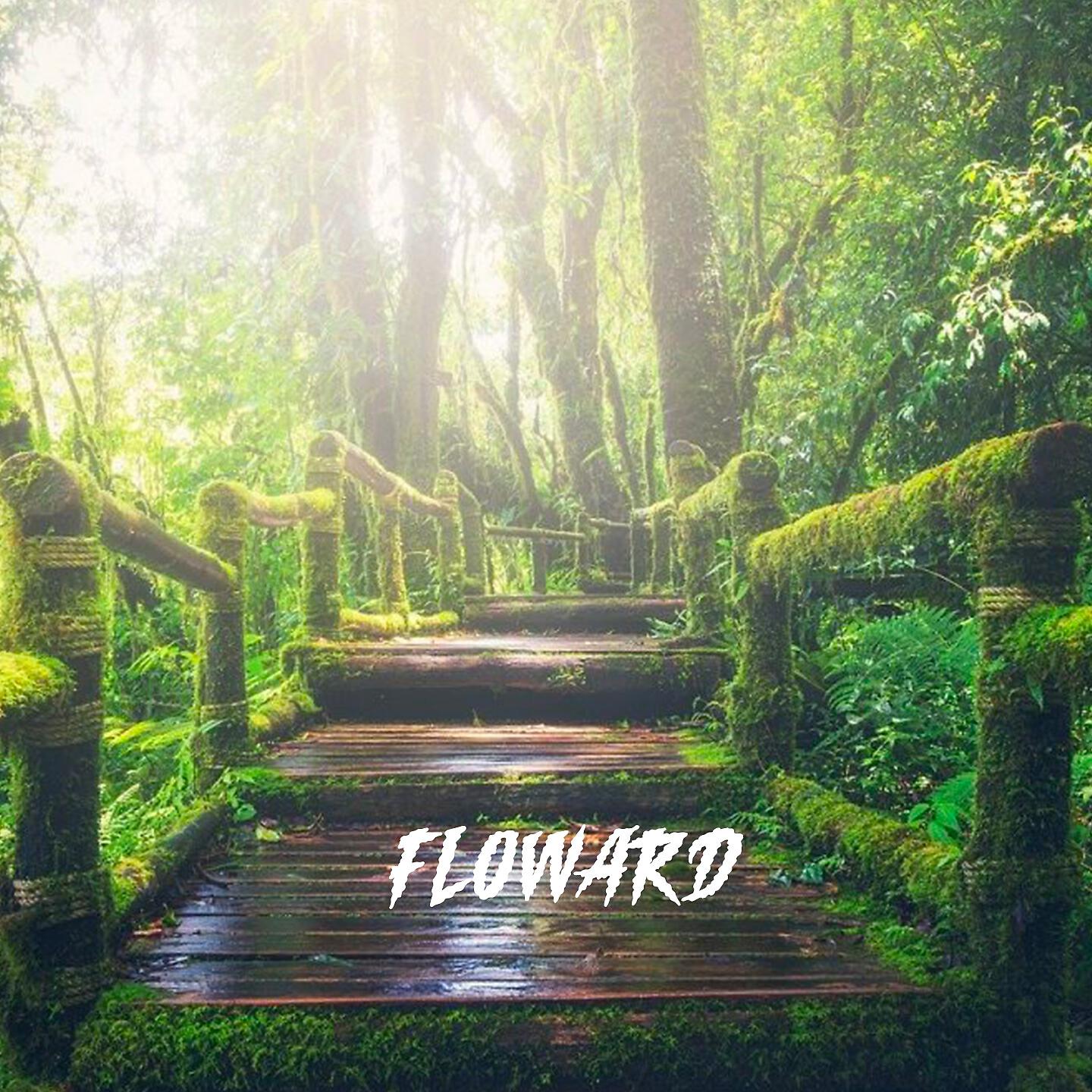 Релиз Floward