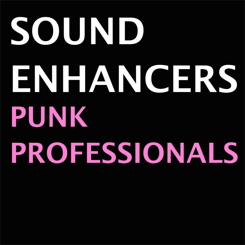 Релиз Punk Professionals
