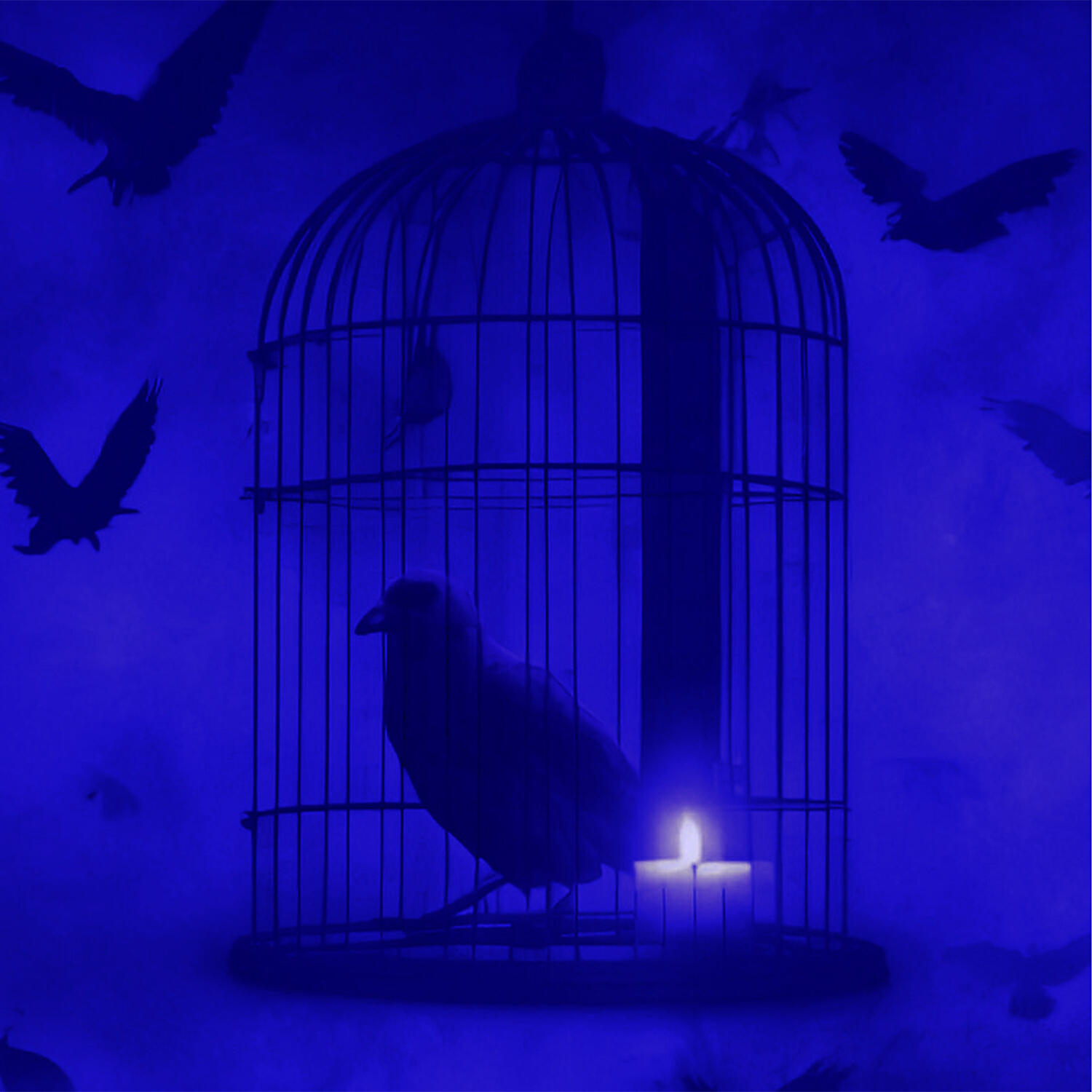 Релиз Bird in a Cage