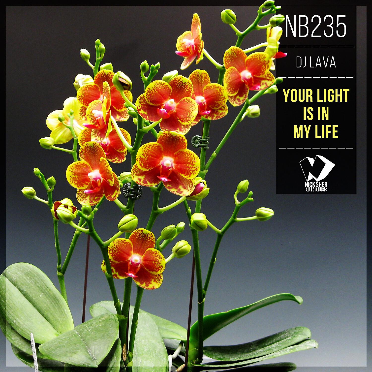 Релиз Your Light Is in My Life