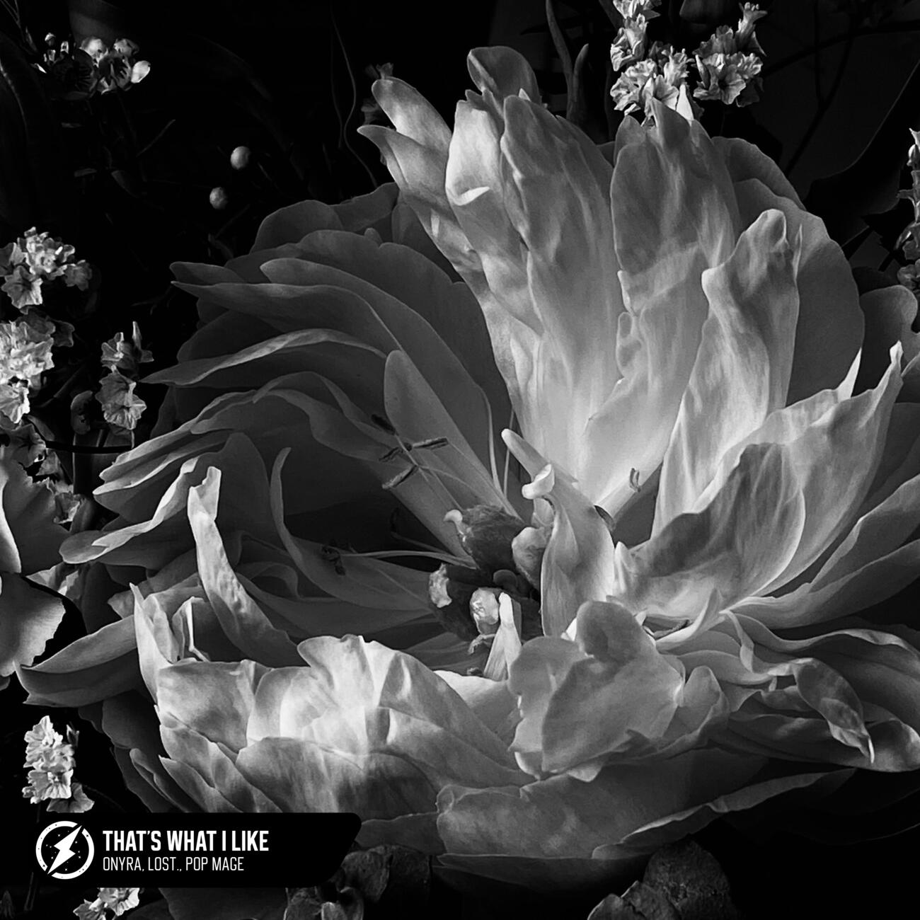 Релиз That's What I Like