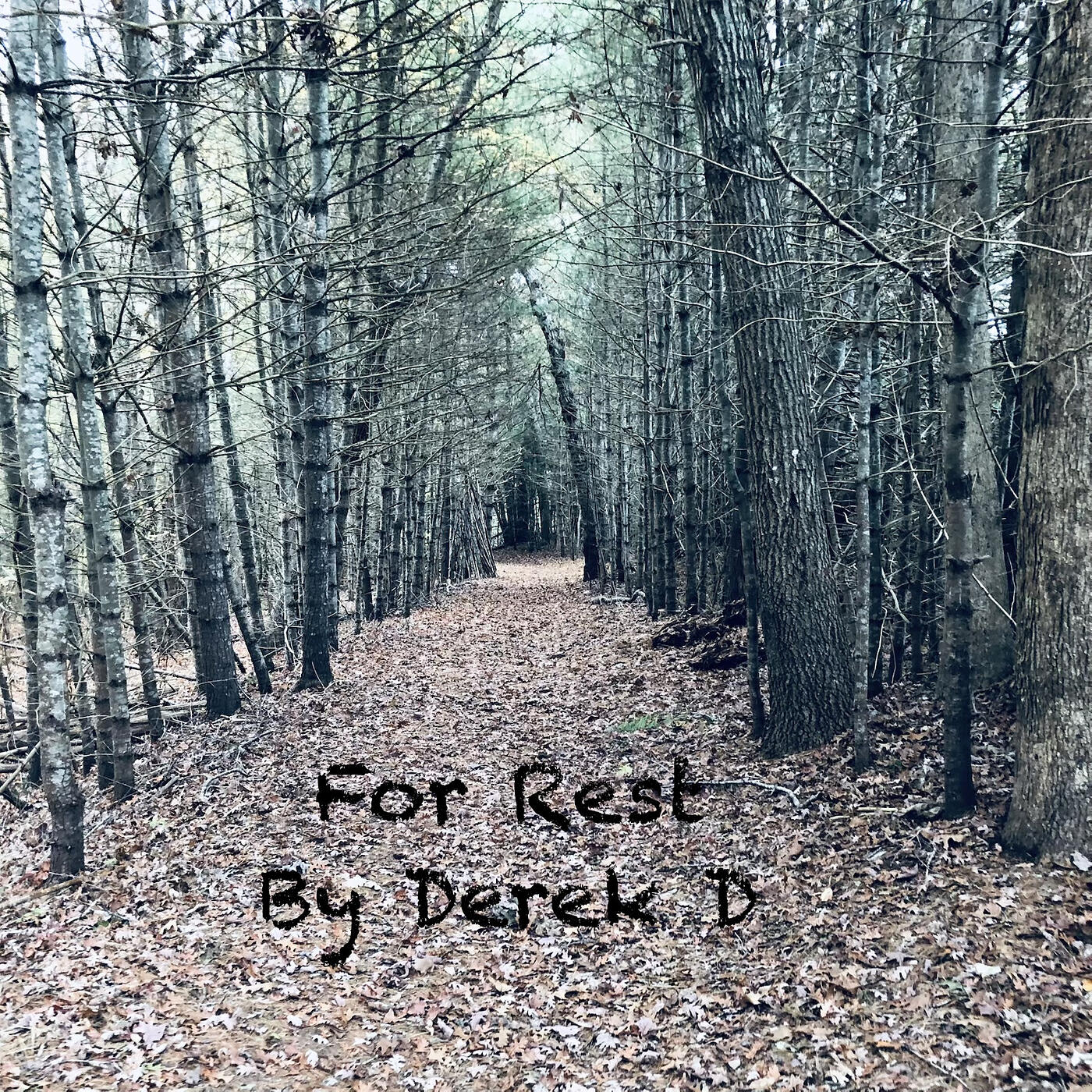 Релиз For Rest