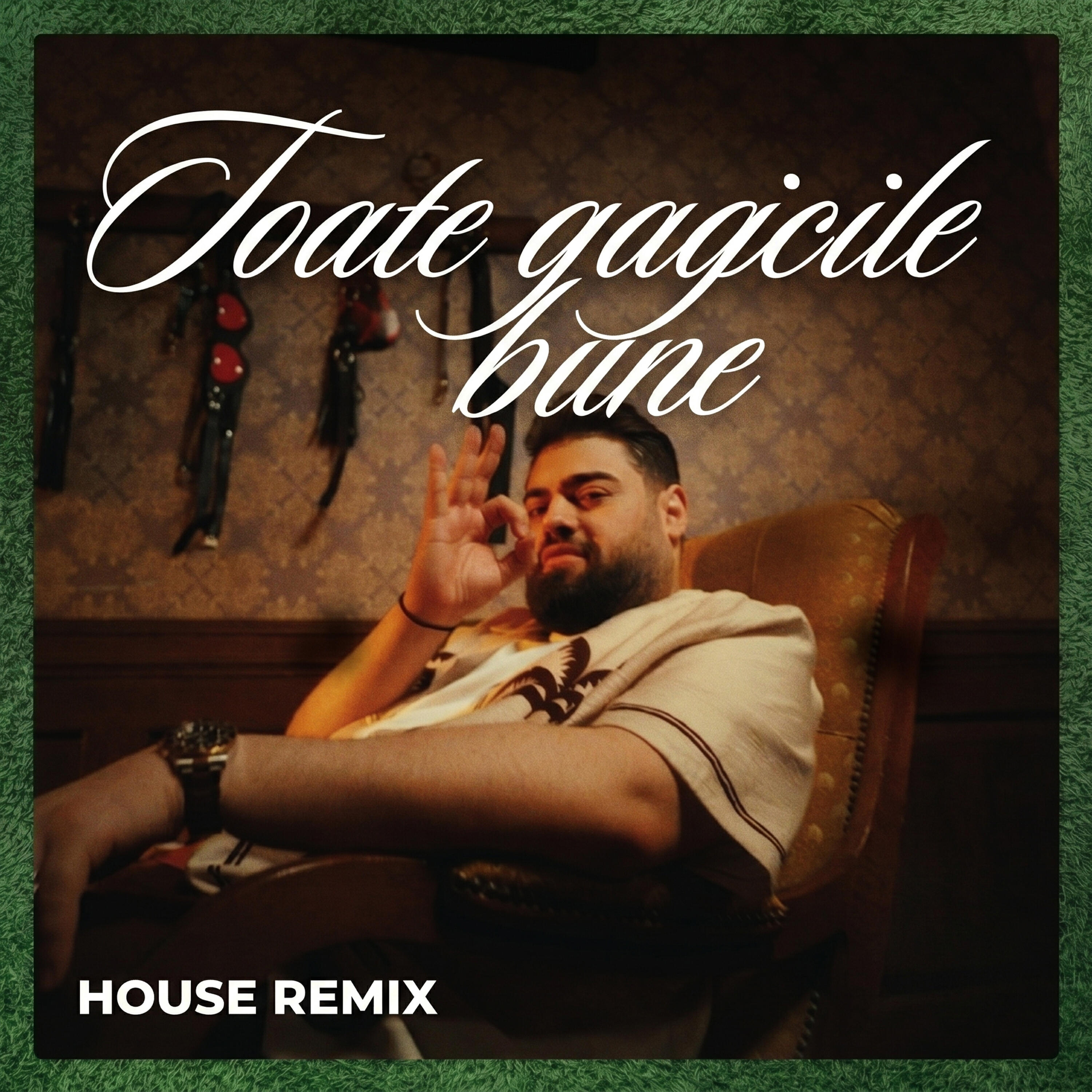 Релиз Toate gagicile bune