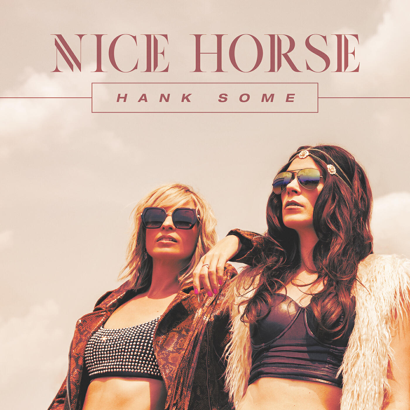 Nice Horse