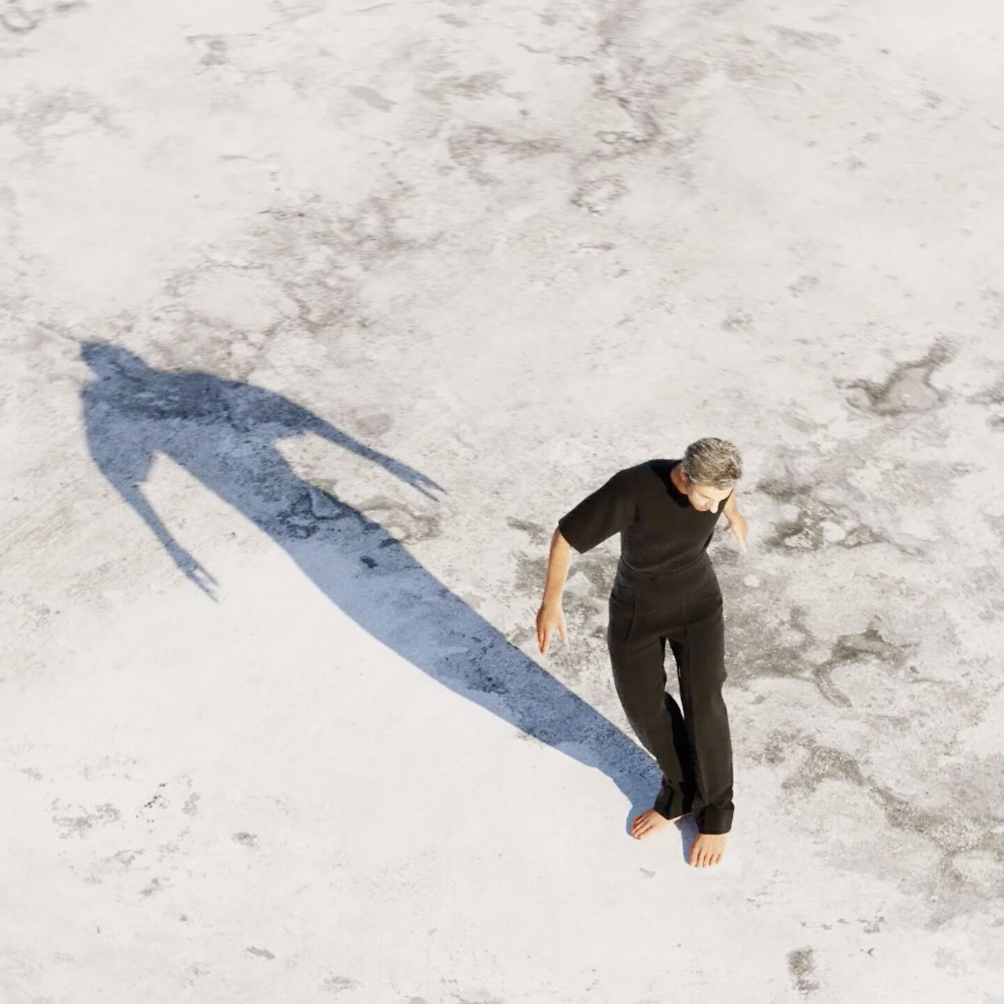 Релиз Ich und mein Schatten