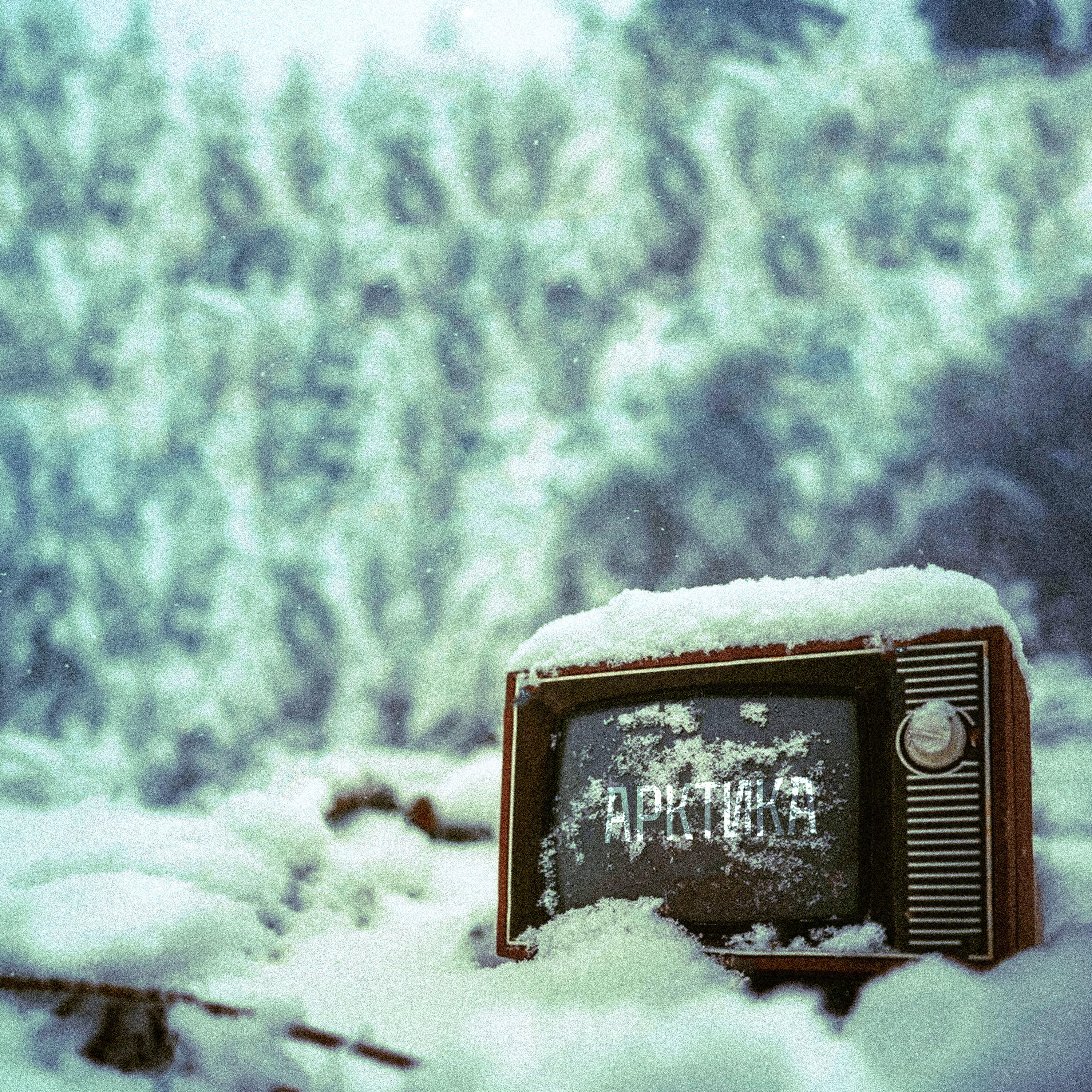 Релиз Арктика