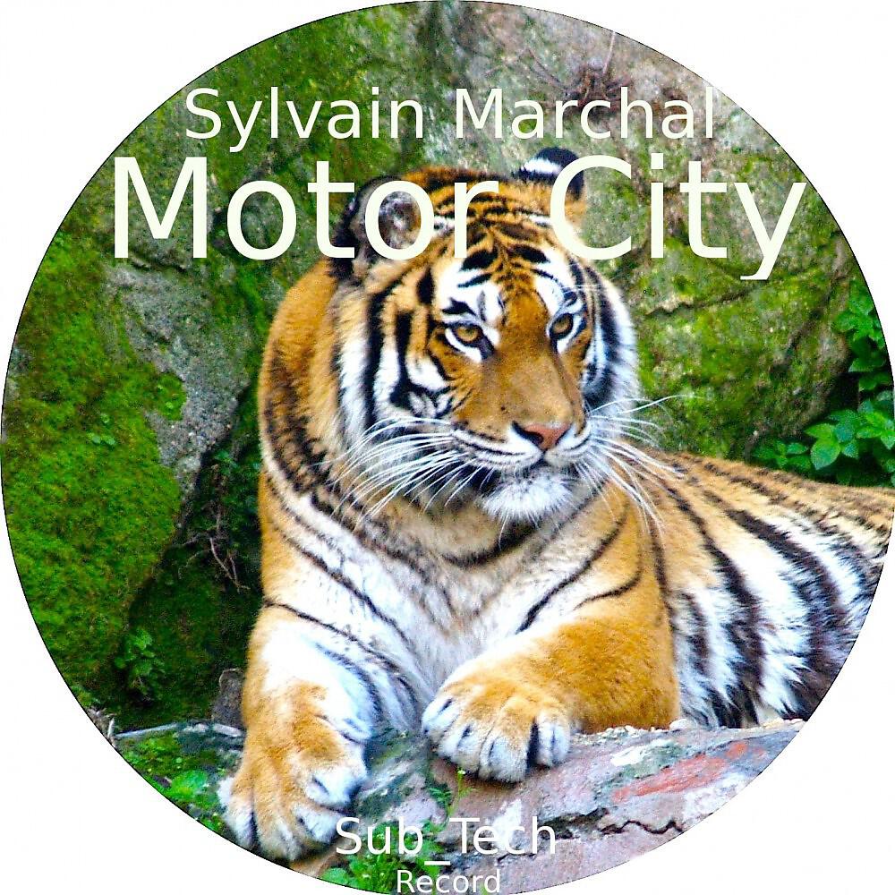 Релиз Motor City