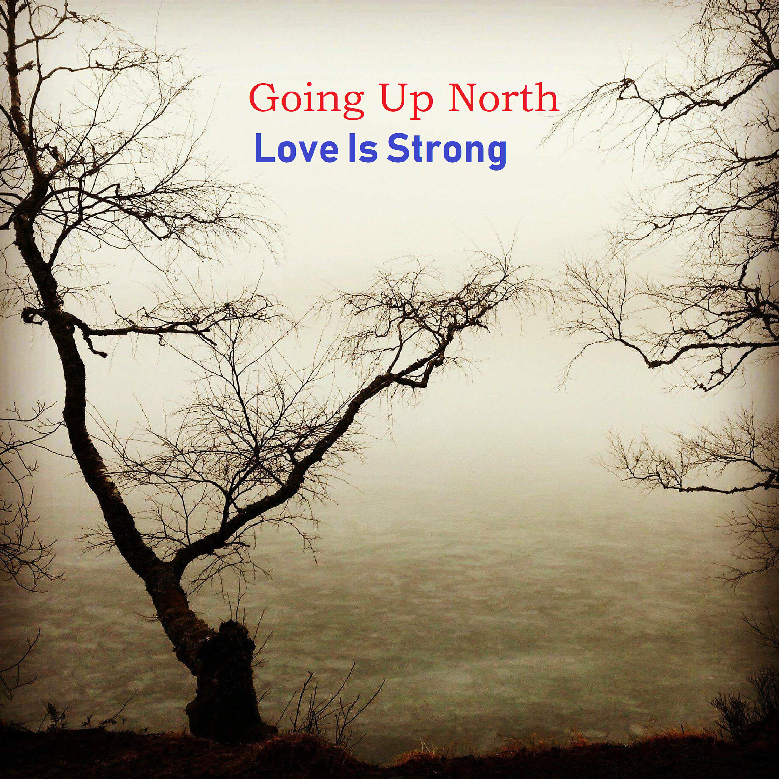 Релиз Love Is Strong