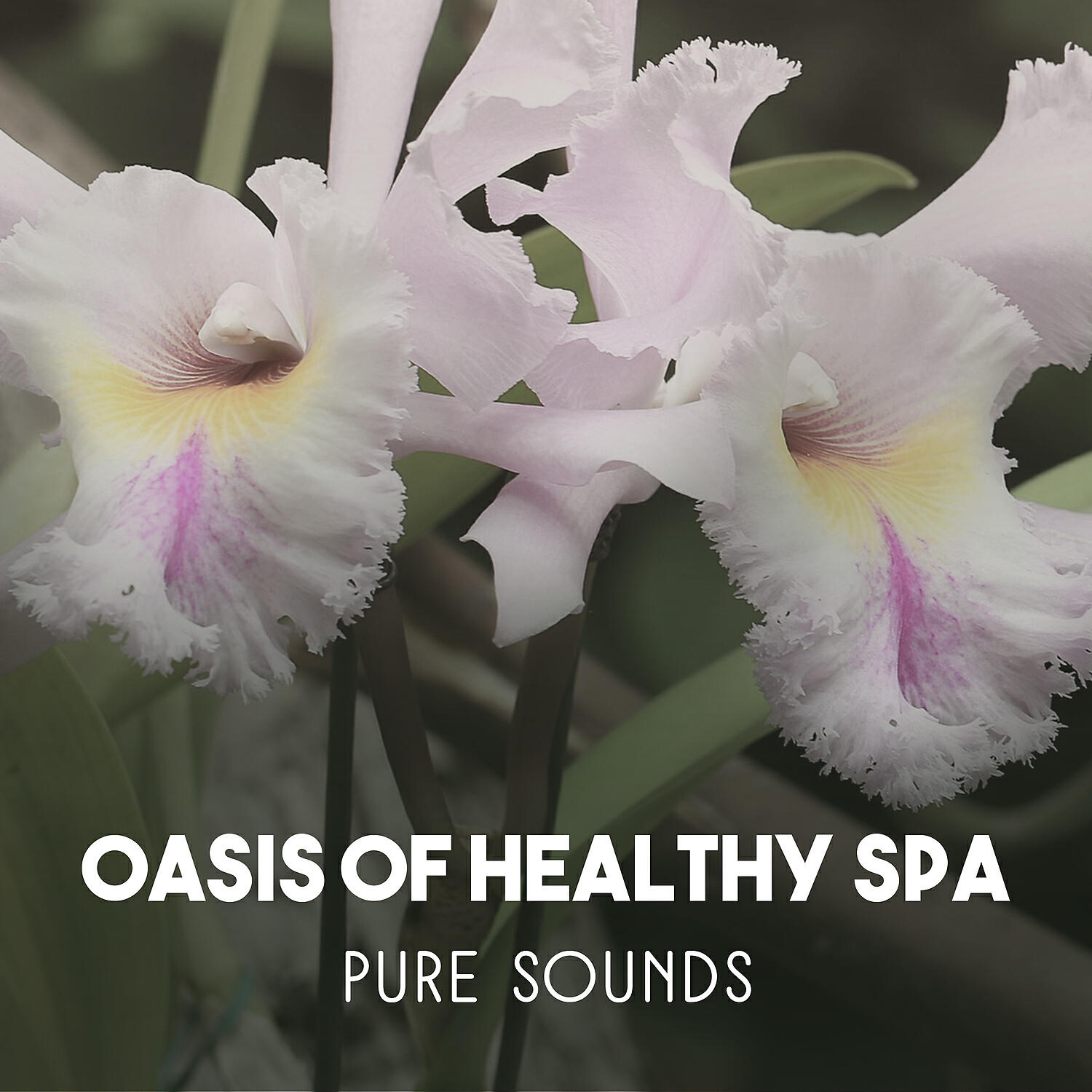 Релиз Oasis of Healthy Spa – Pure Sounds for Natural Healing, Traditional Massage Methods, Stress Relief, Serene Relaxation, Sounds of Nature