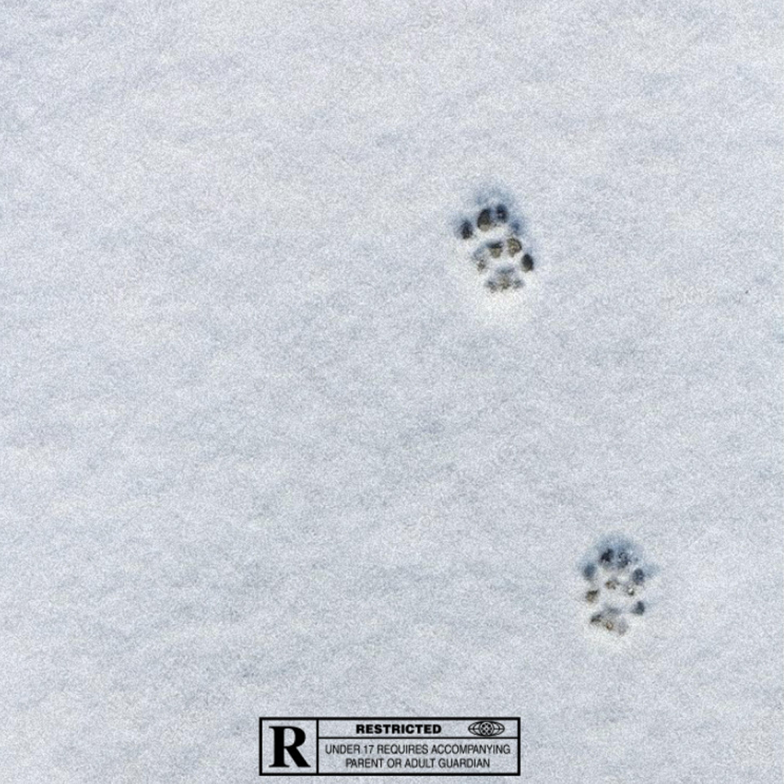 Релиз Paws