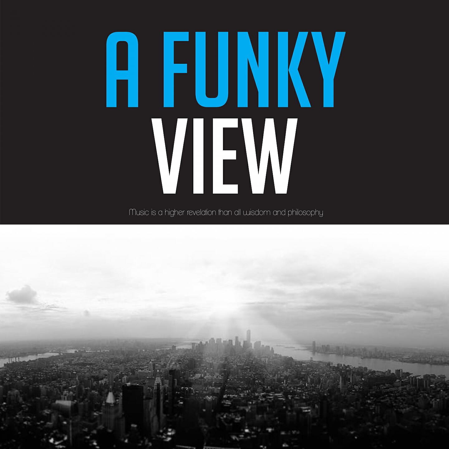Релиз A Funky View