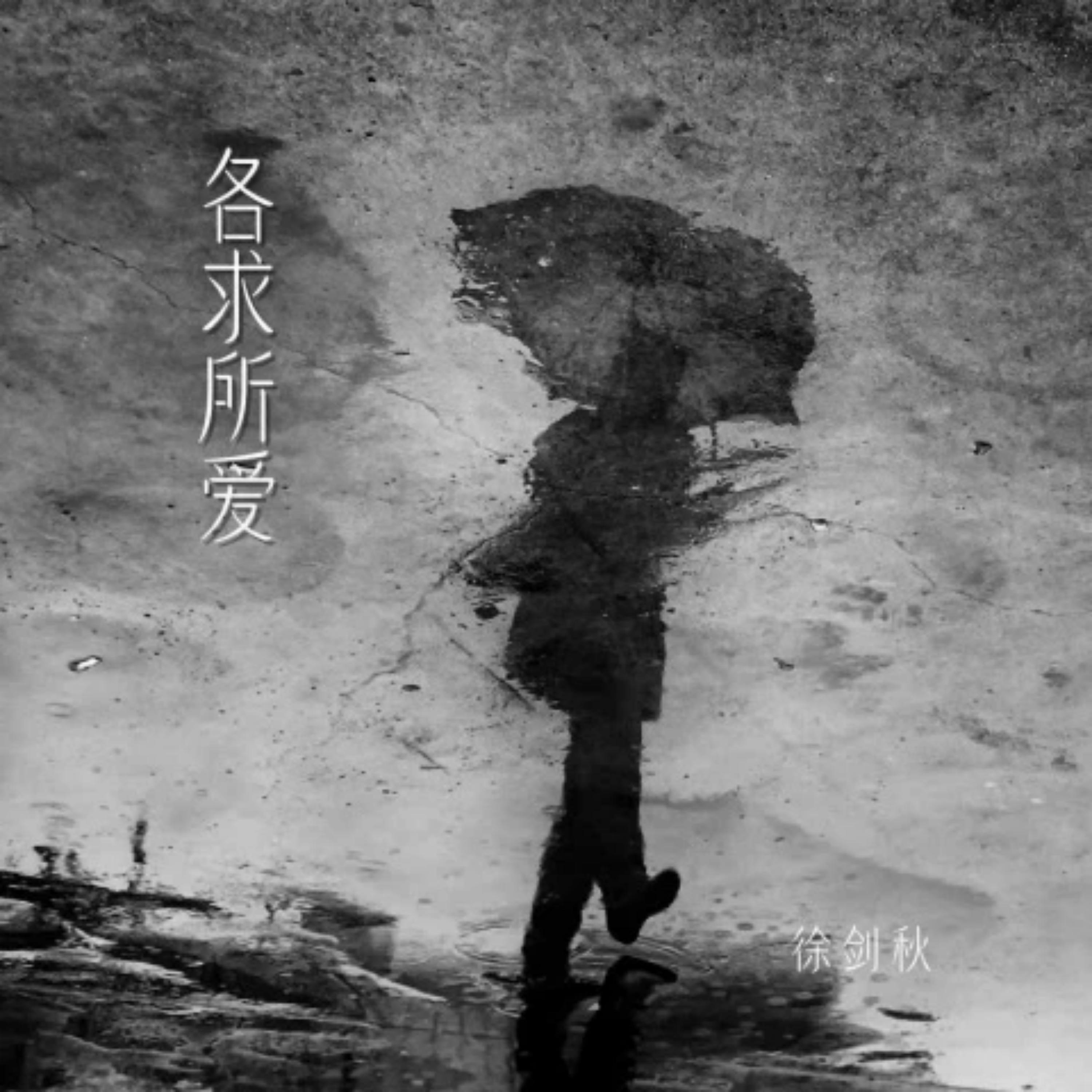 Релиз 各求所爱