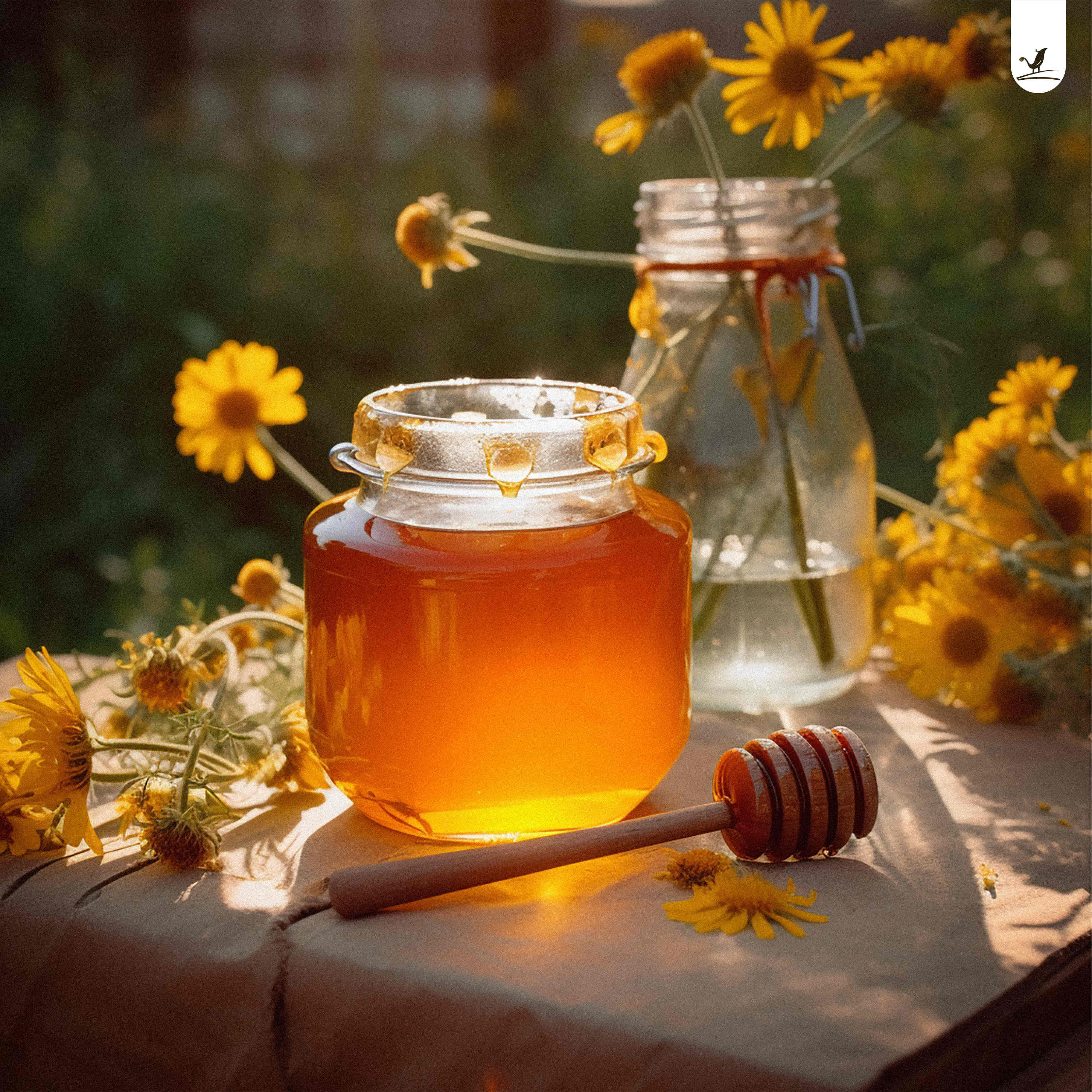 Релиз Like Honey