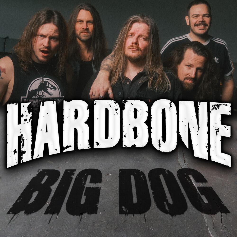 Релиз Big Dog