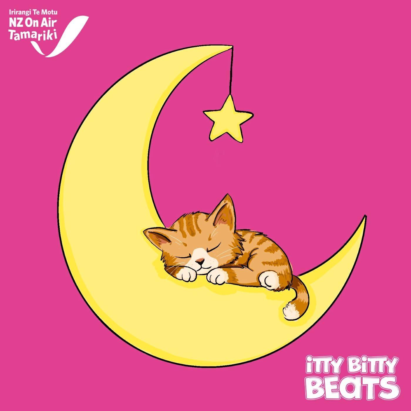 Релиз Sleepy Kitten