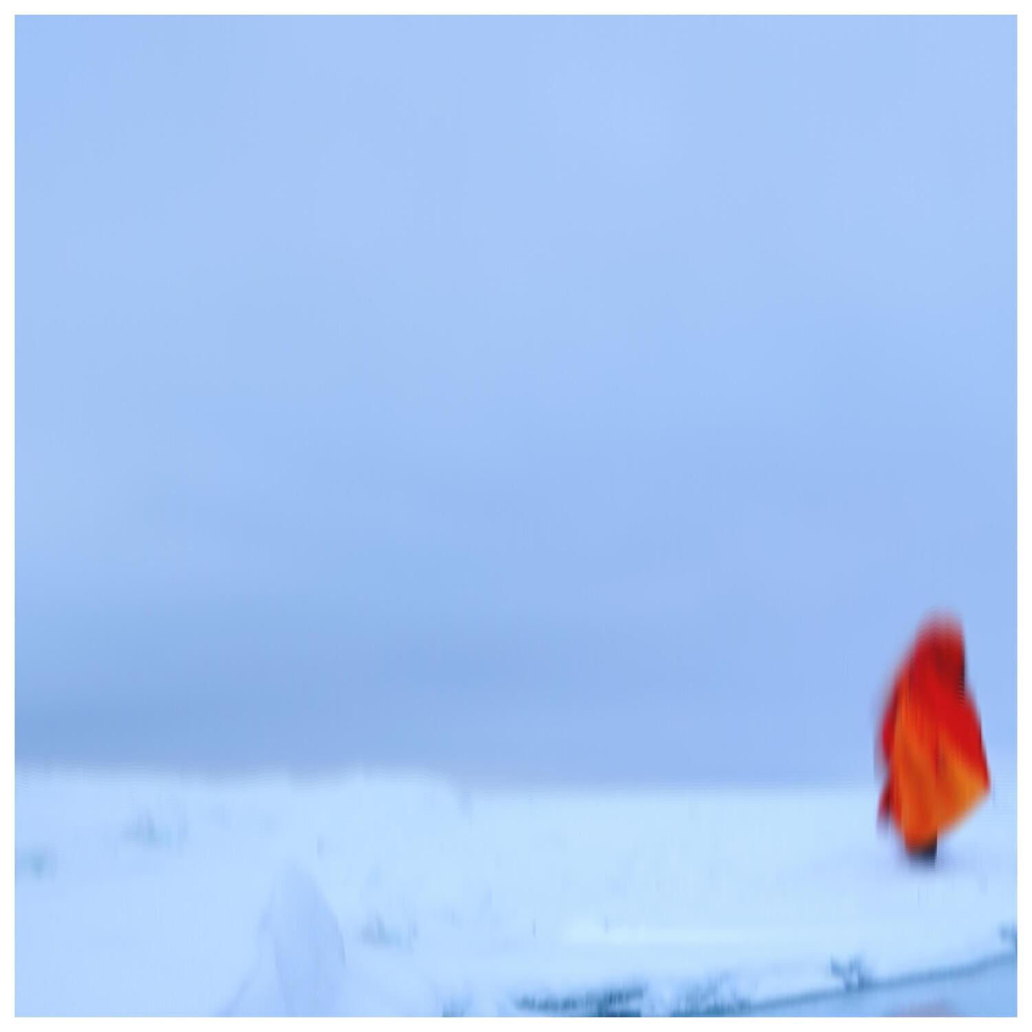 Релиз Lomica