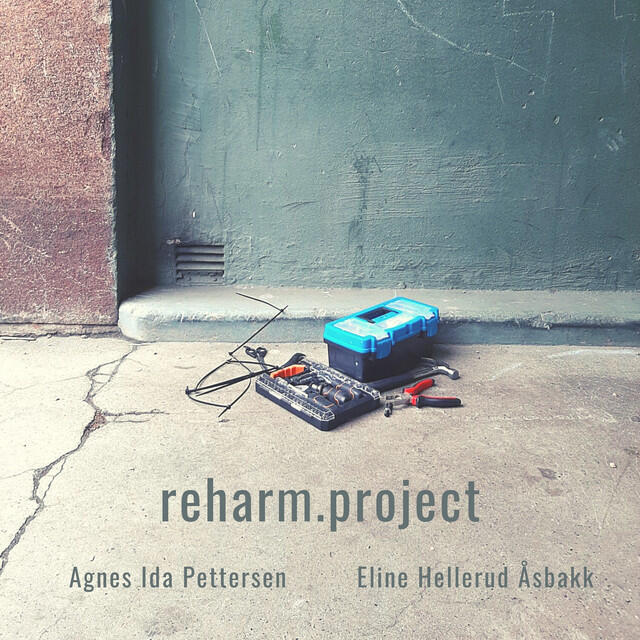 Релиз reharm.project