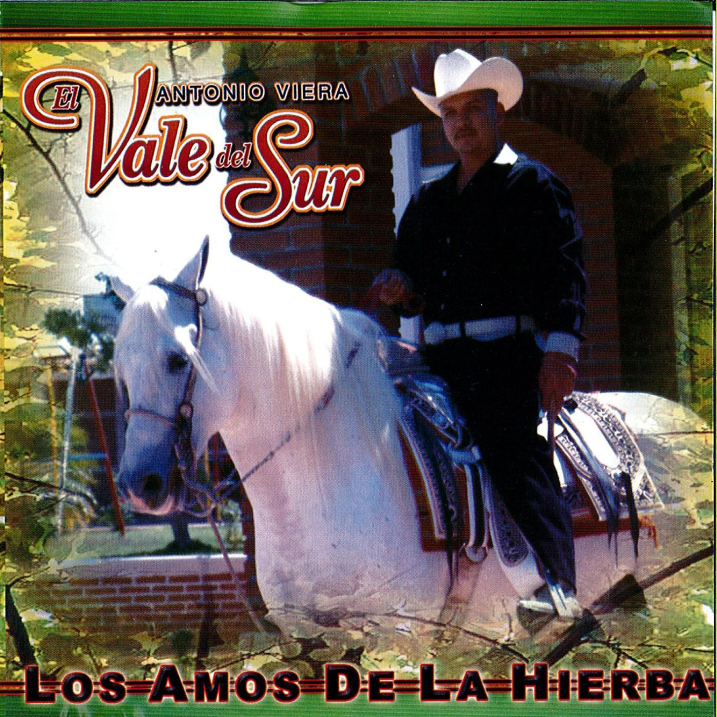 Релиз Los Amos De La Hierba