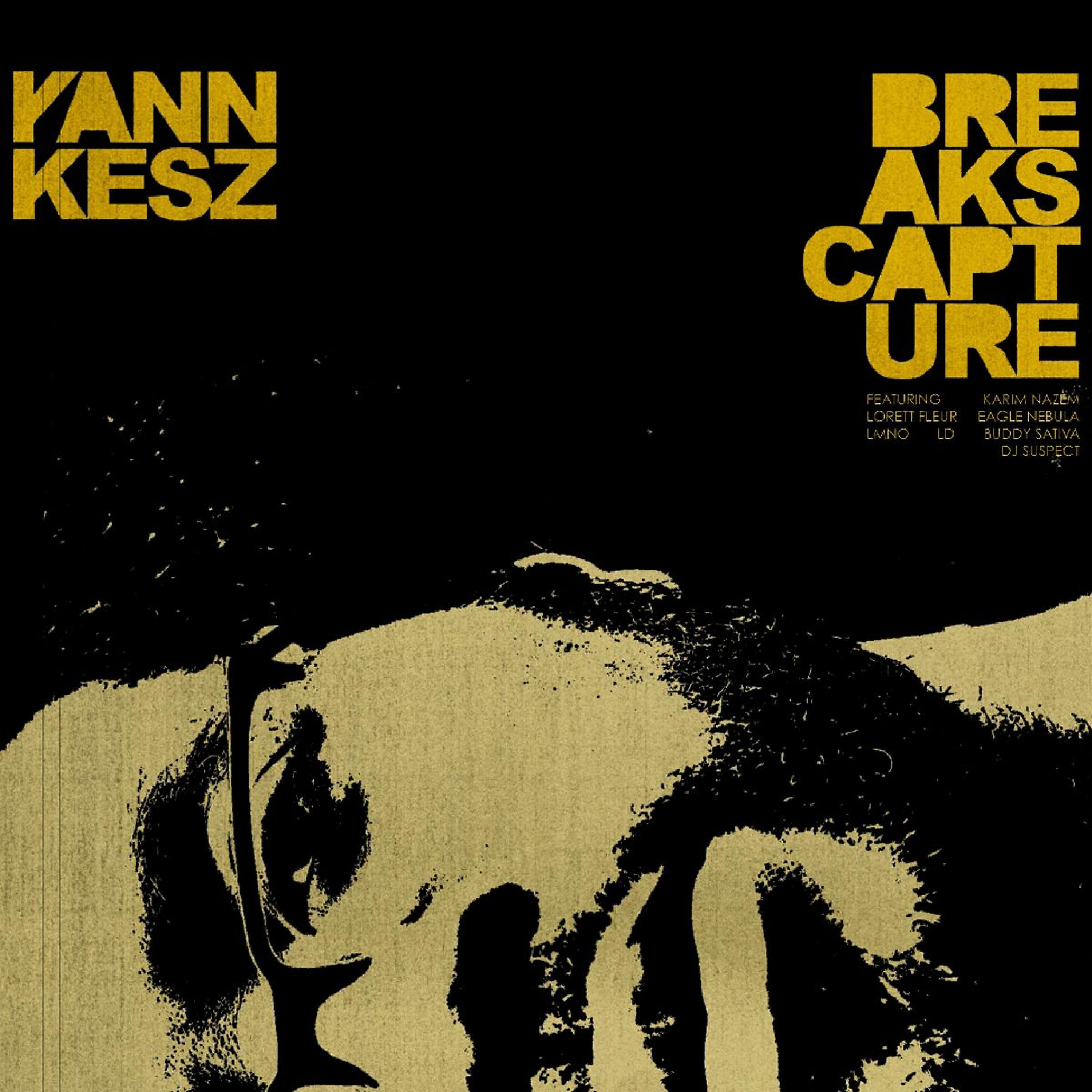 Скачать песню Yann Kesz, LMNO, Ld - Cocaïne бесплатно в MP3 для Android и iOS