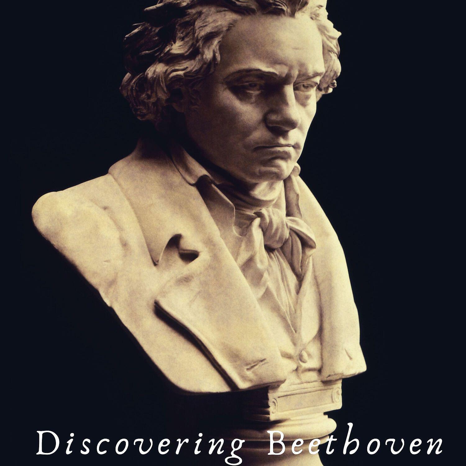 Релиз Discovering Beethoven