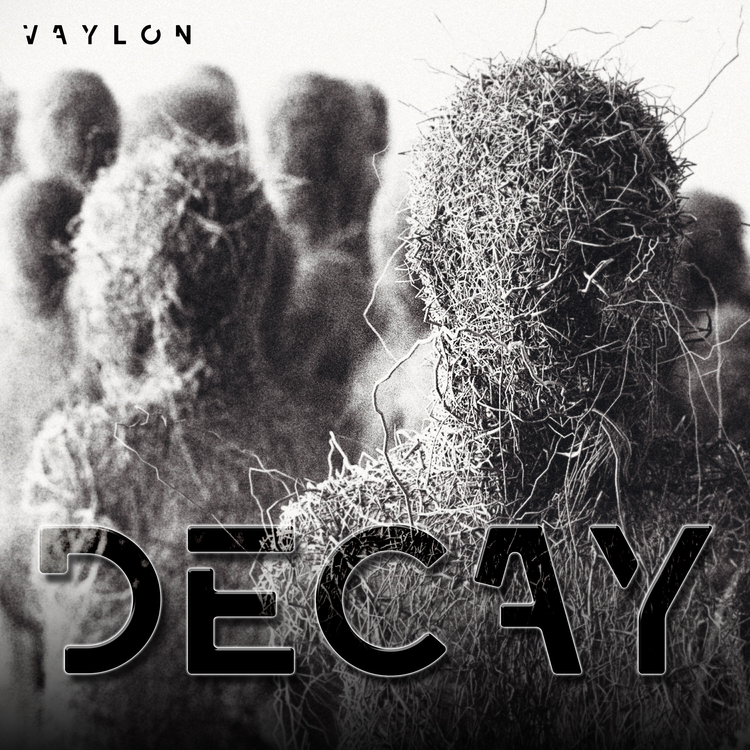 Релиз Decay
