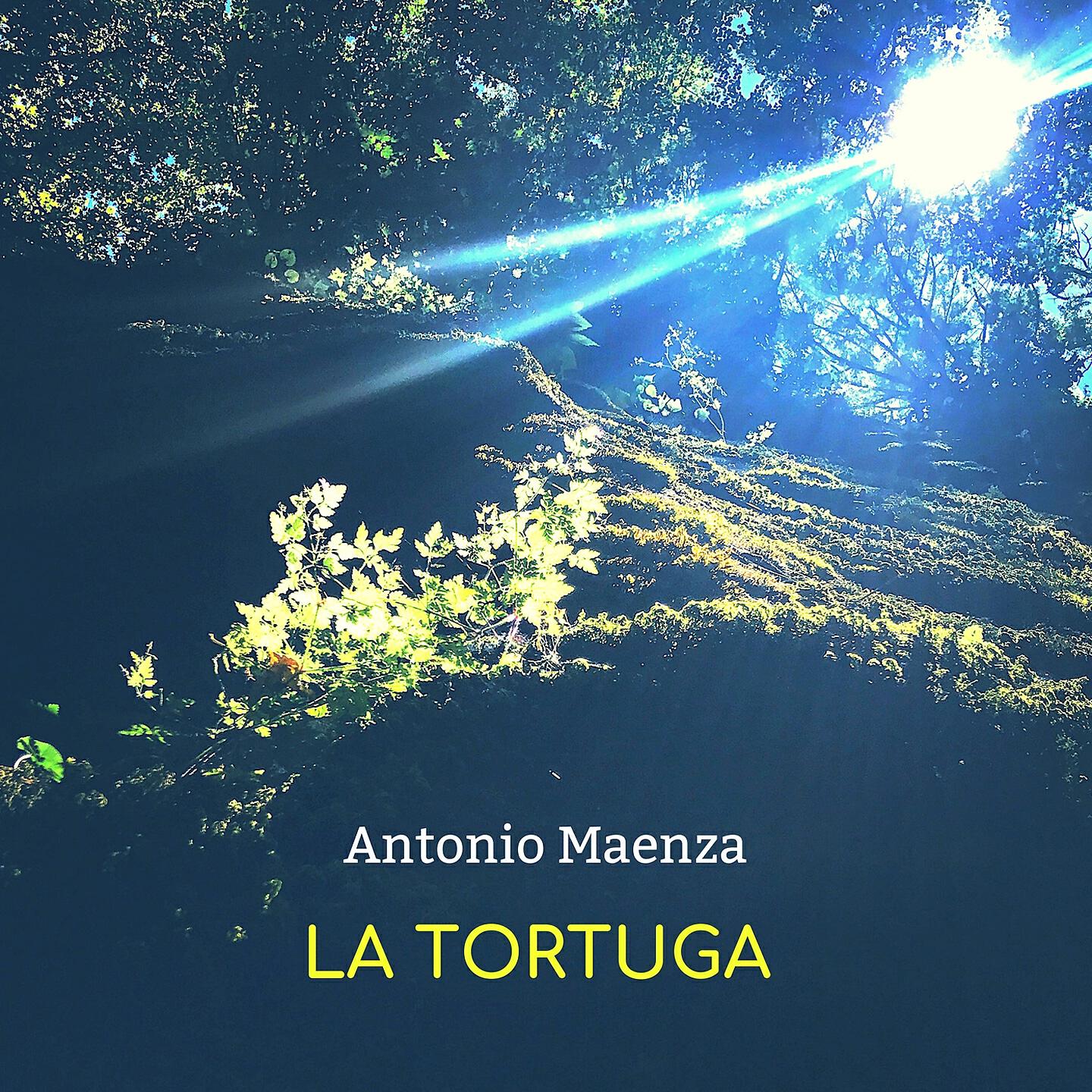 Релиз La tortuga