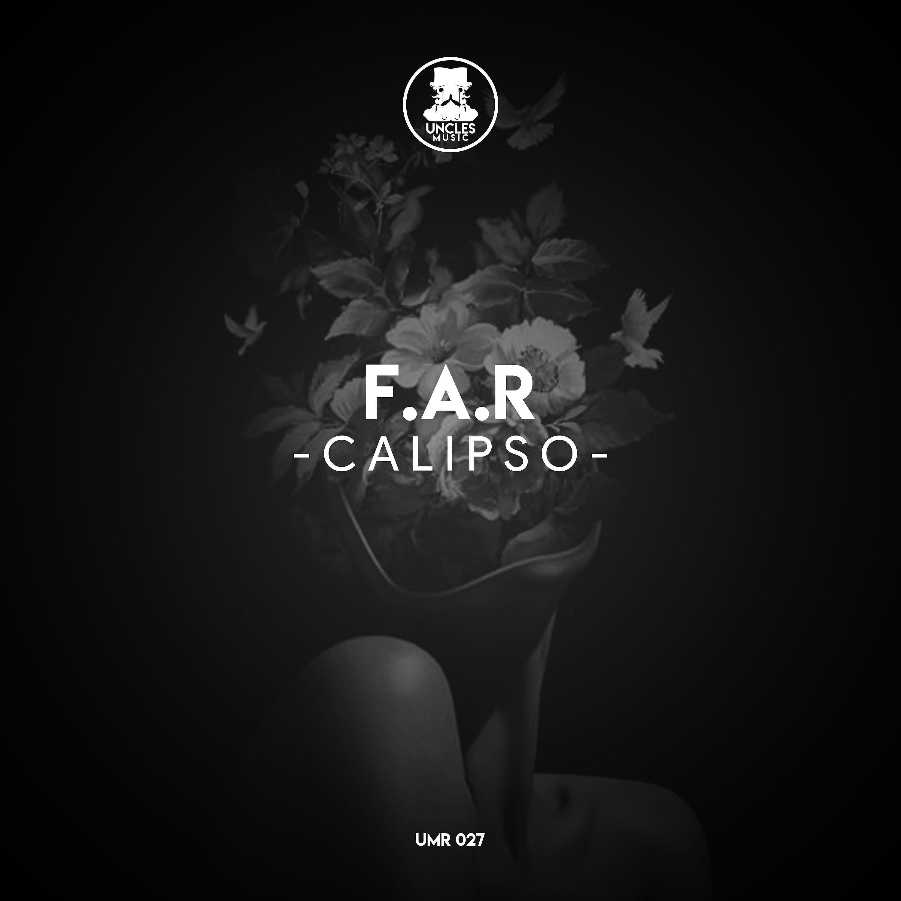 Релиз Calipso