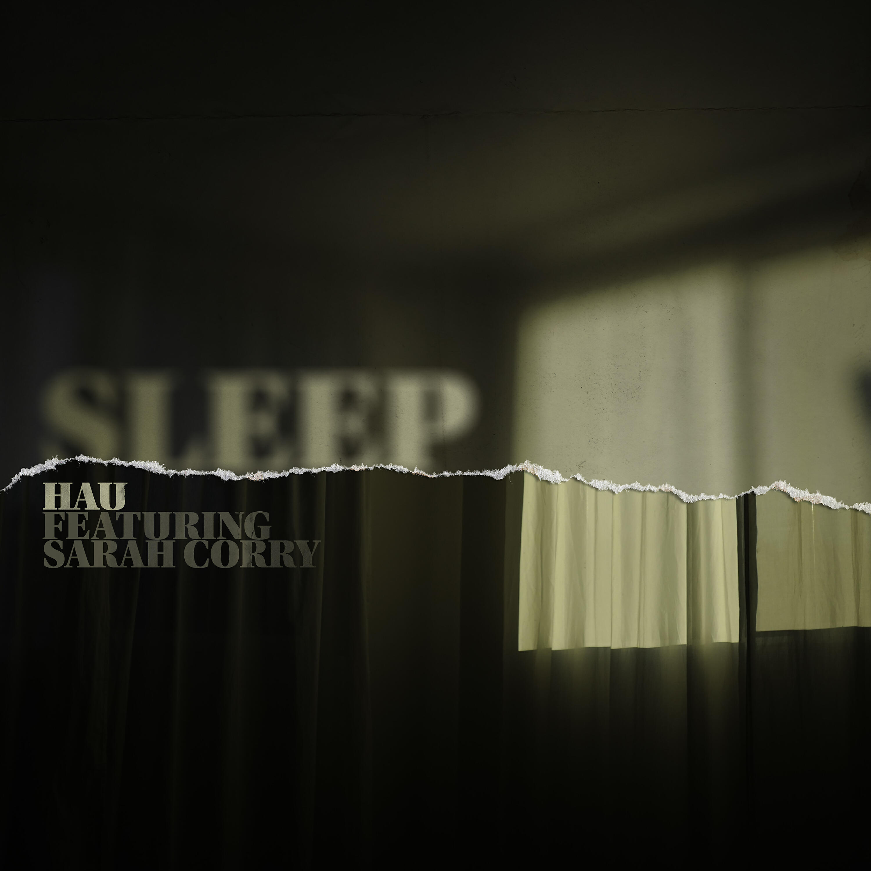 Релиз Sleep (feat. Sarah Corry)
