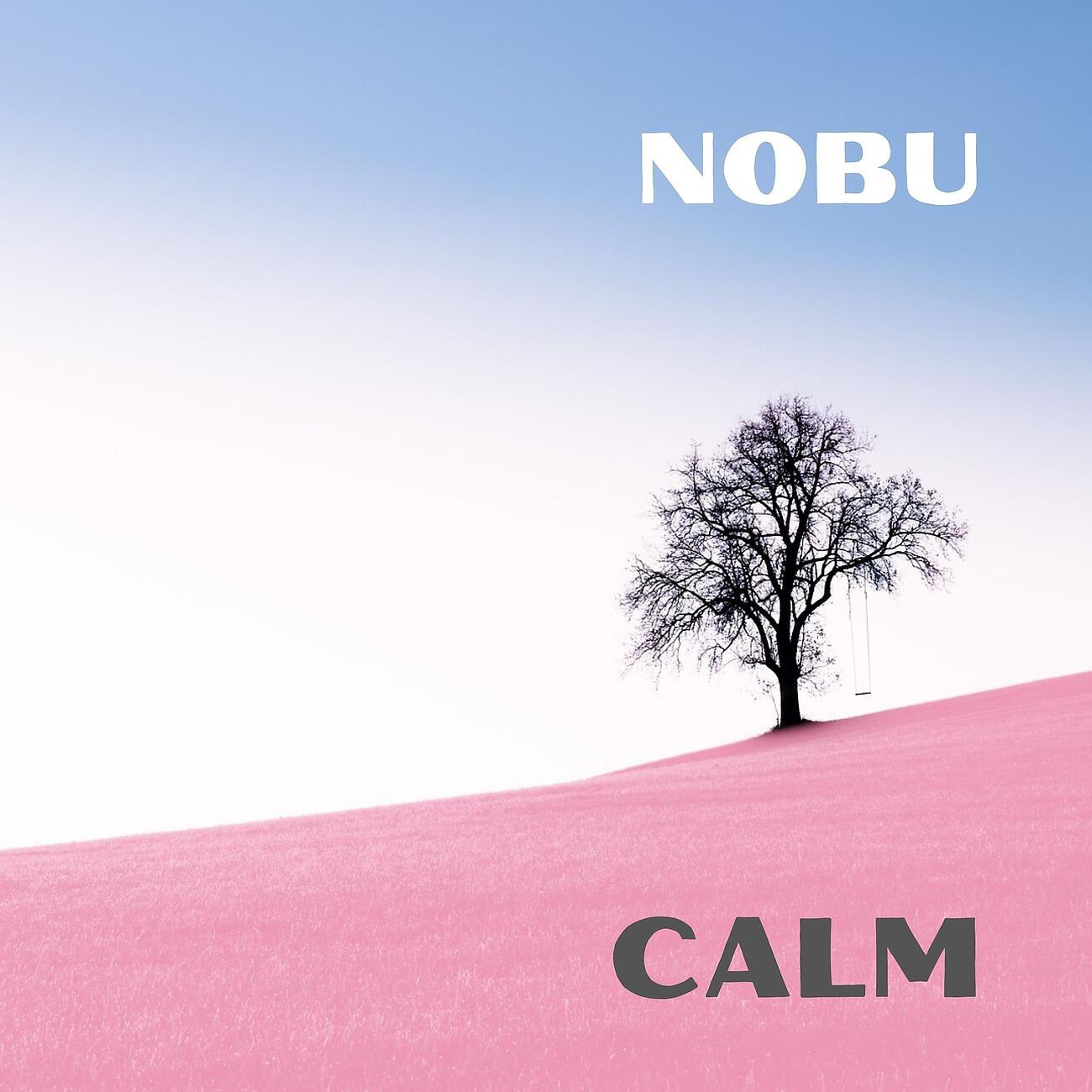 Релиз Calm