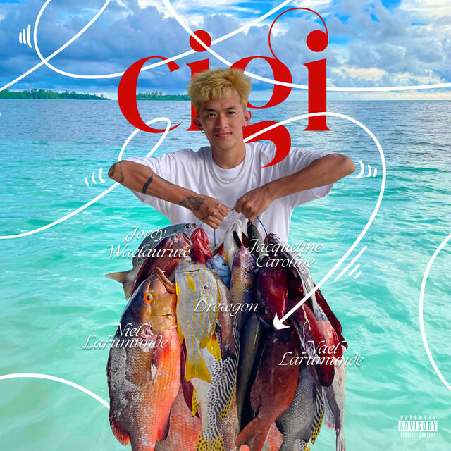 Релиз CIGI