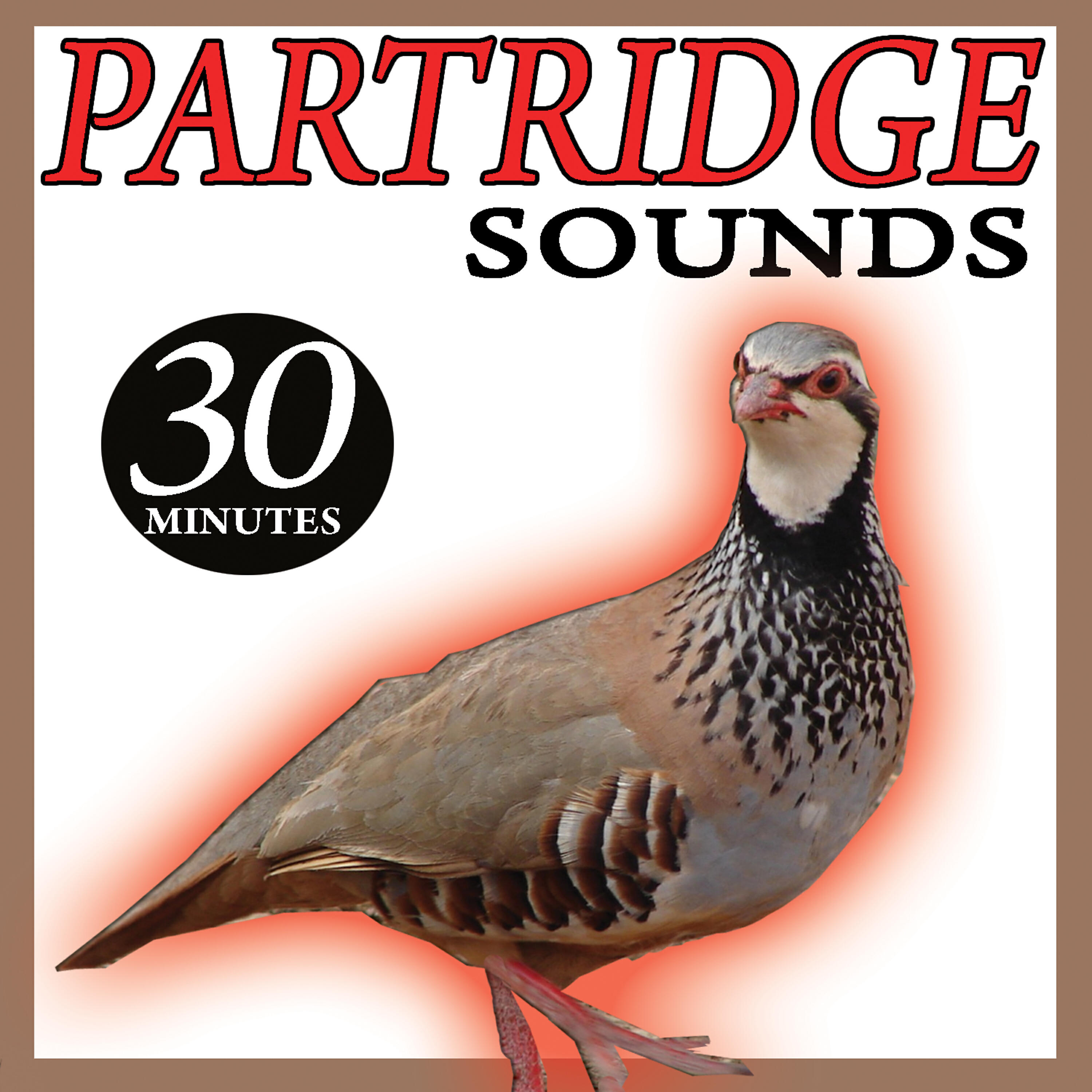 Релиз Partridge Sounds
