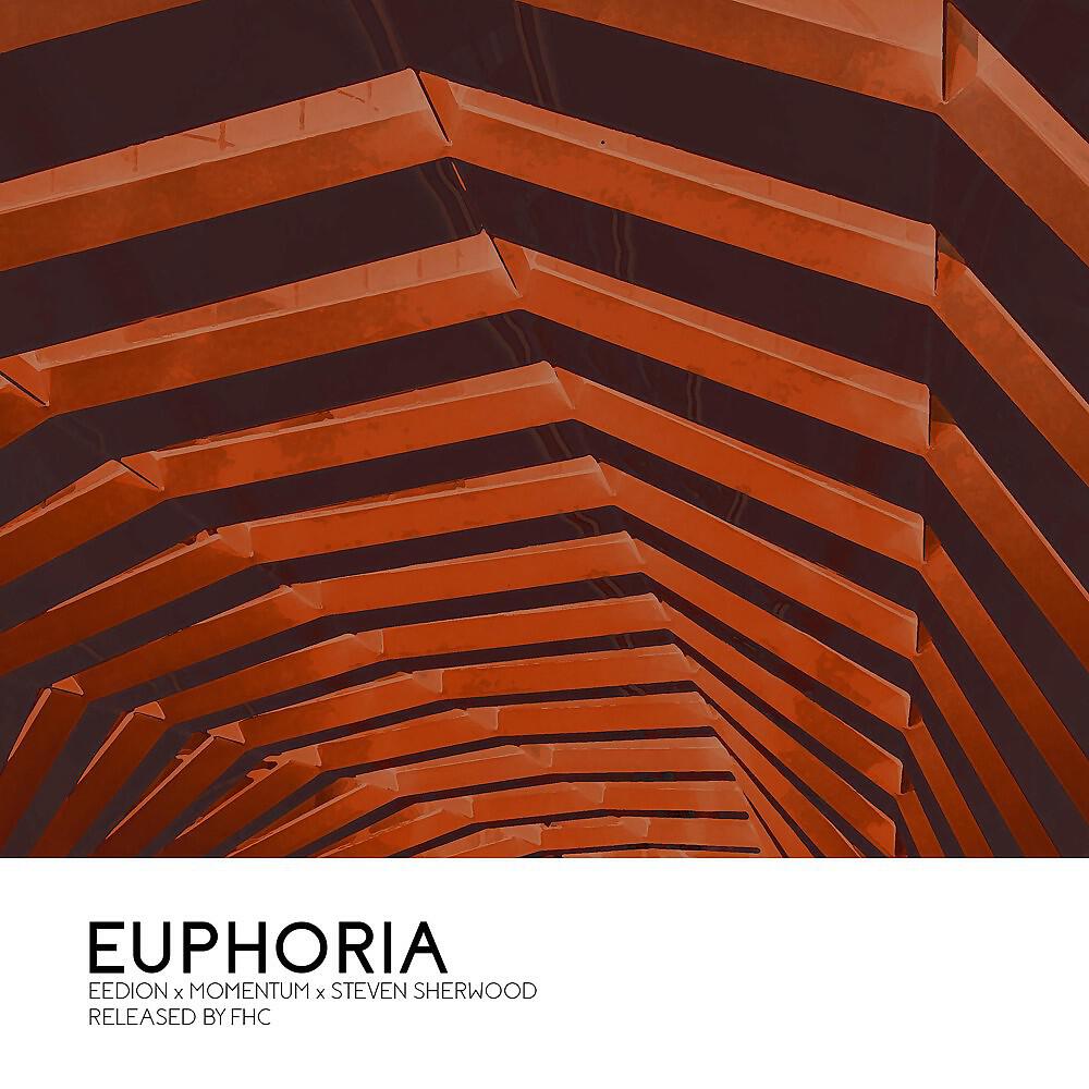 Релиз Euphoria