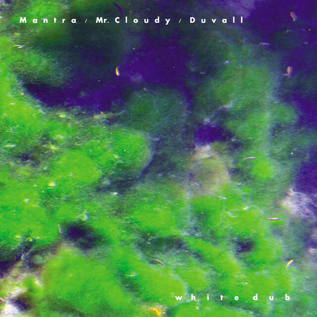 Релиз White Dub