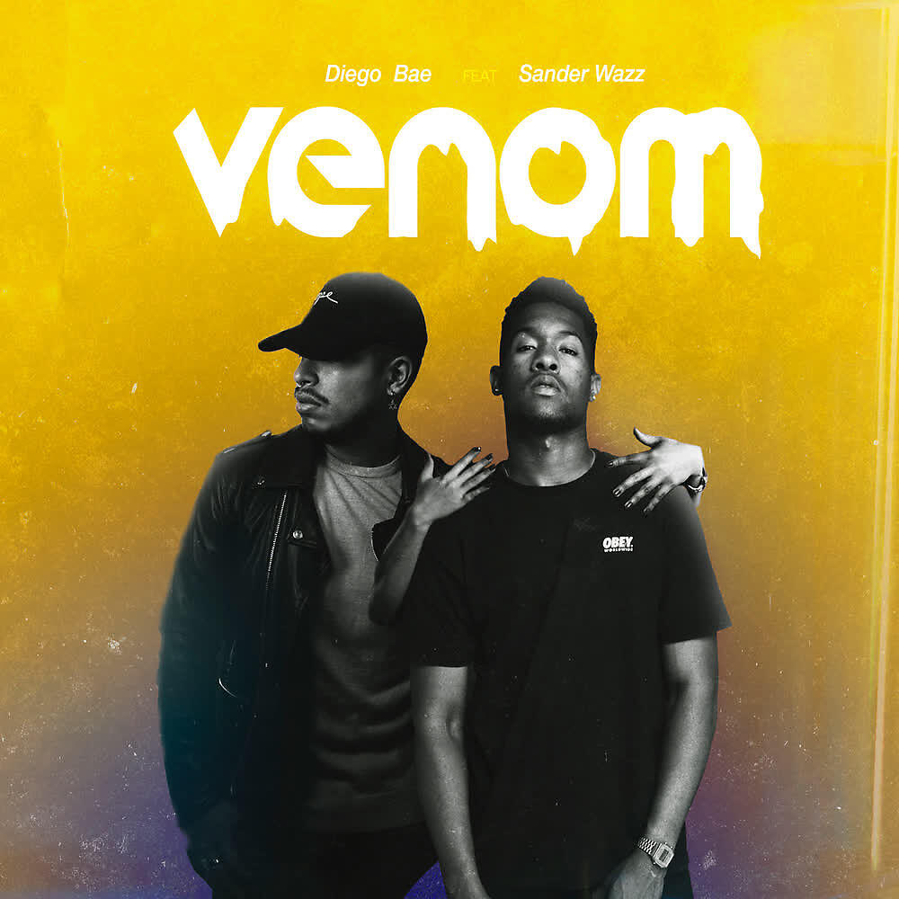 Скачать песню Diego Bae, Sander Wazz - Venom бесплатно в MP3 для Android и iOS