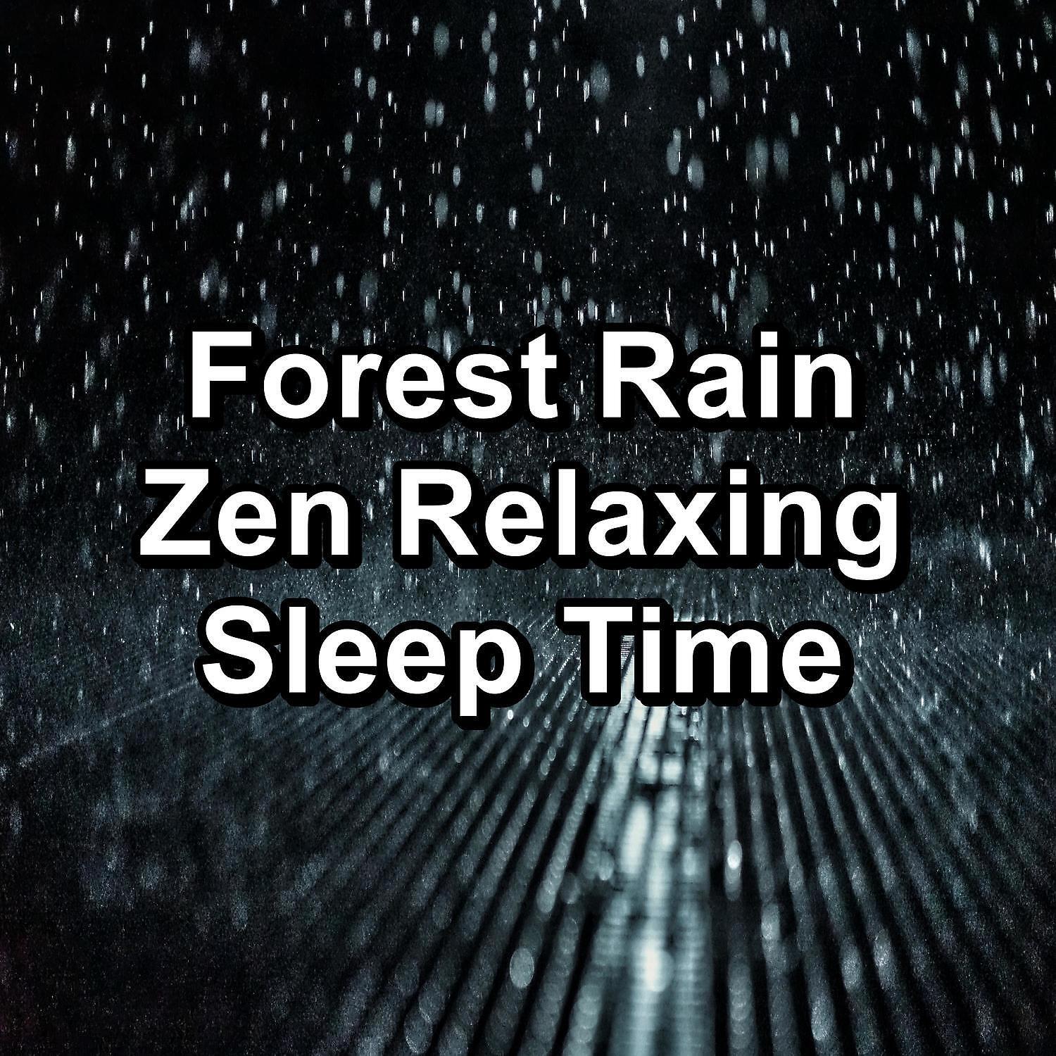 Релиз Forest Rain Zen Relaxing Sleep Time