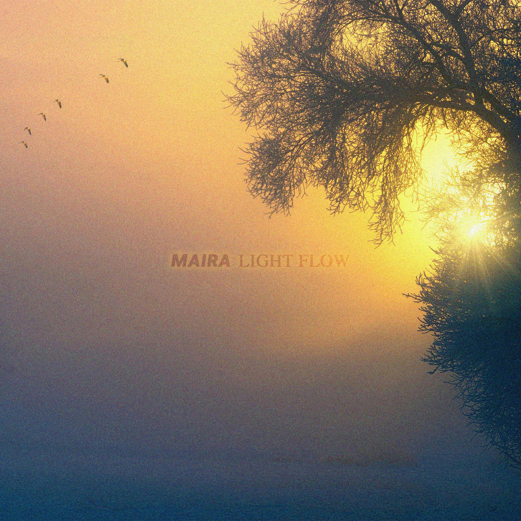Релиз Light Flow