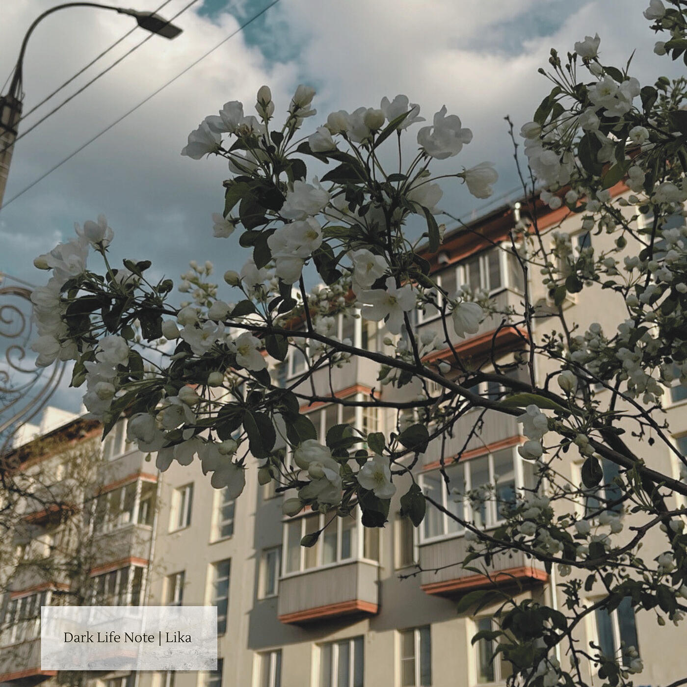 Релиз Lika