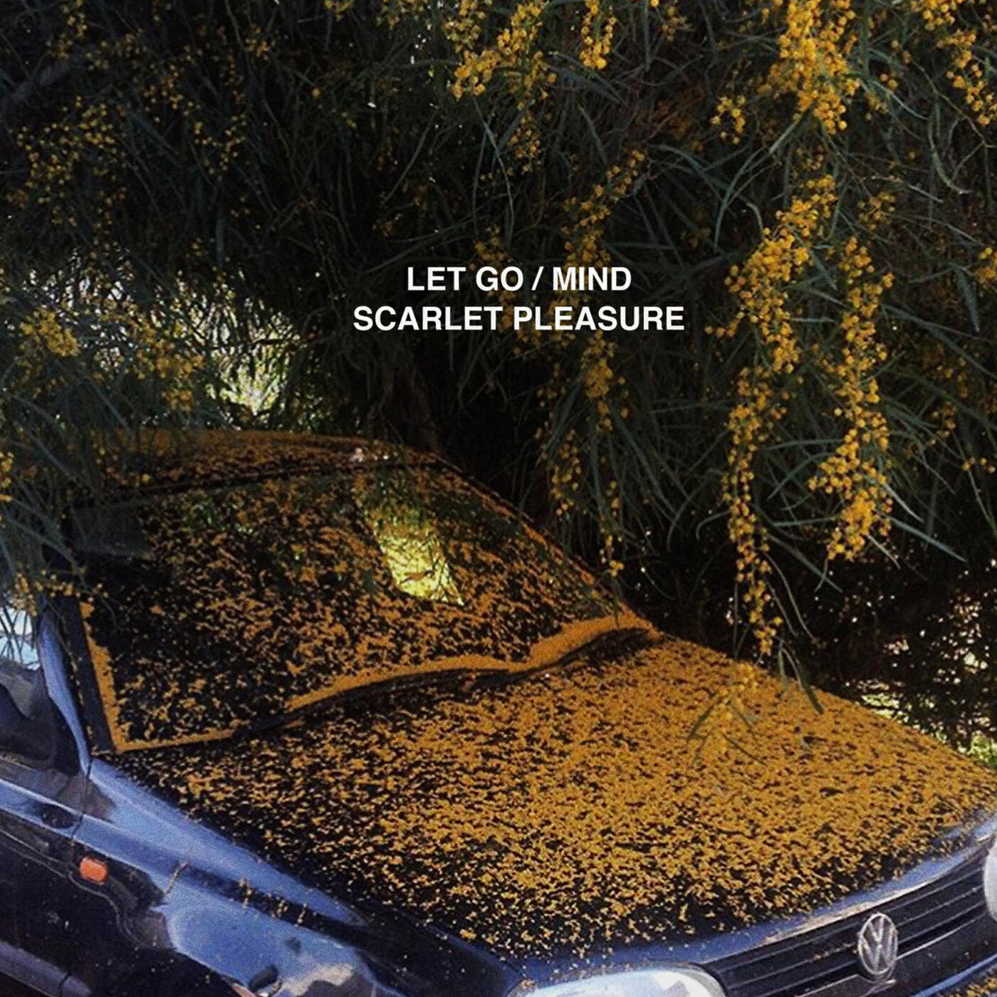 Релиз Let Go / Mind