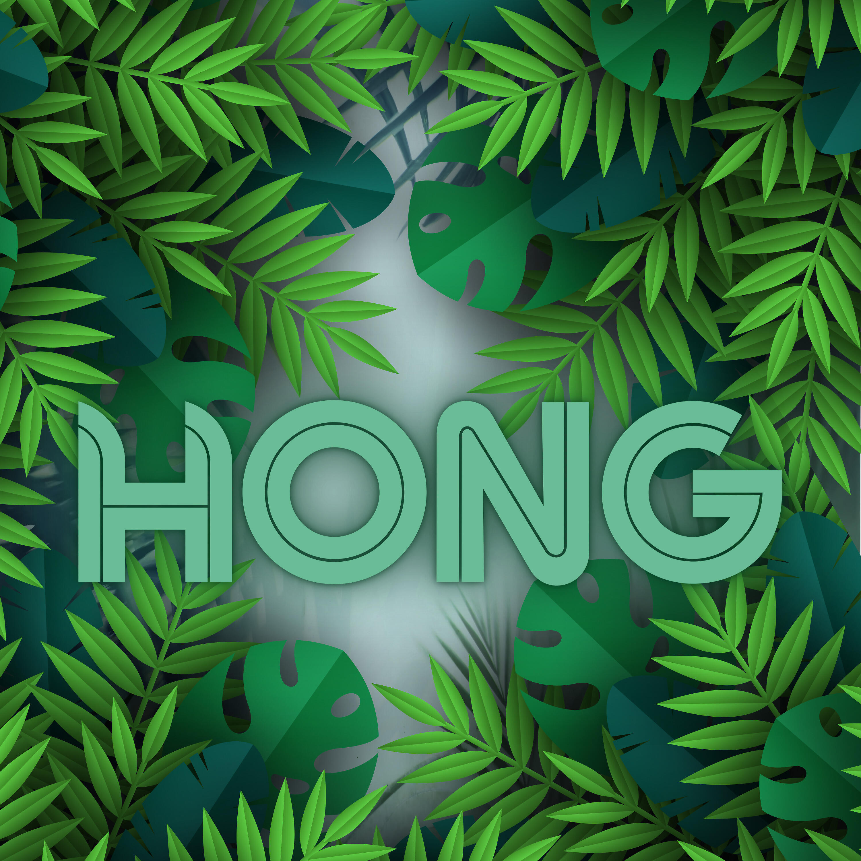 Релиз Hong