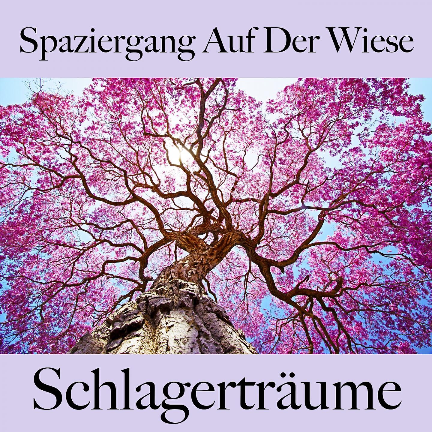 Релиз Spaziergang Auf Der Wiese: Schlagerträume - Die Beste Musik