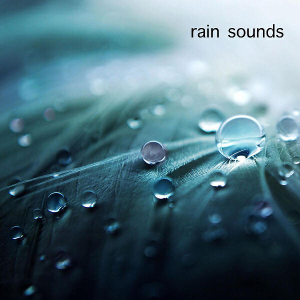 Постер альбома Rain Sounds