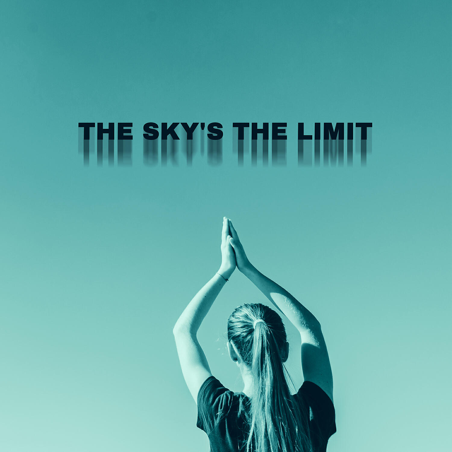 Релиз The Sky's the Limit