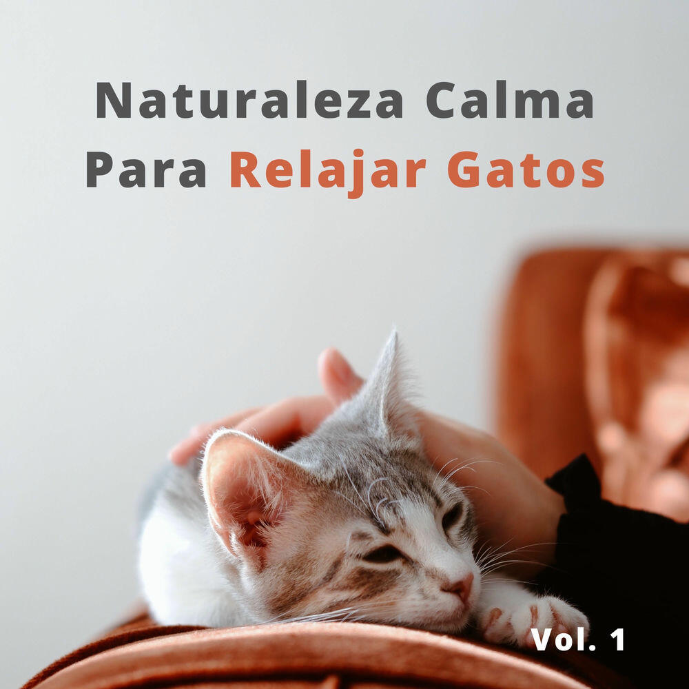 Релиз Naturaleza Calma Para Relajar Gatos Vol. 1