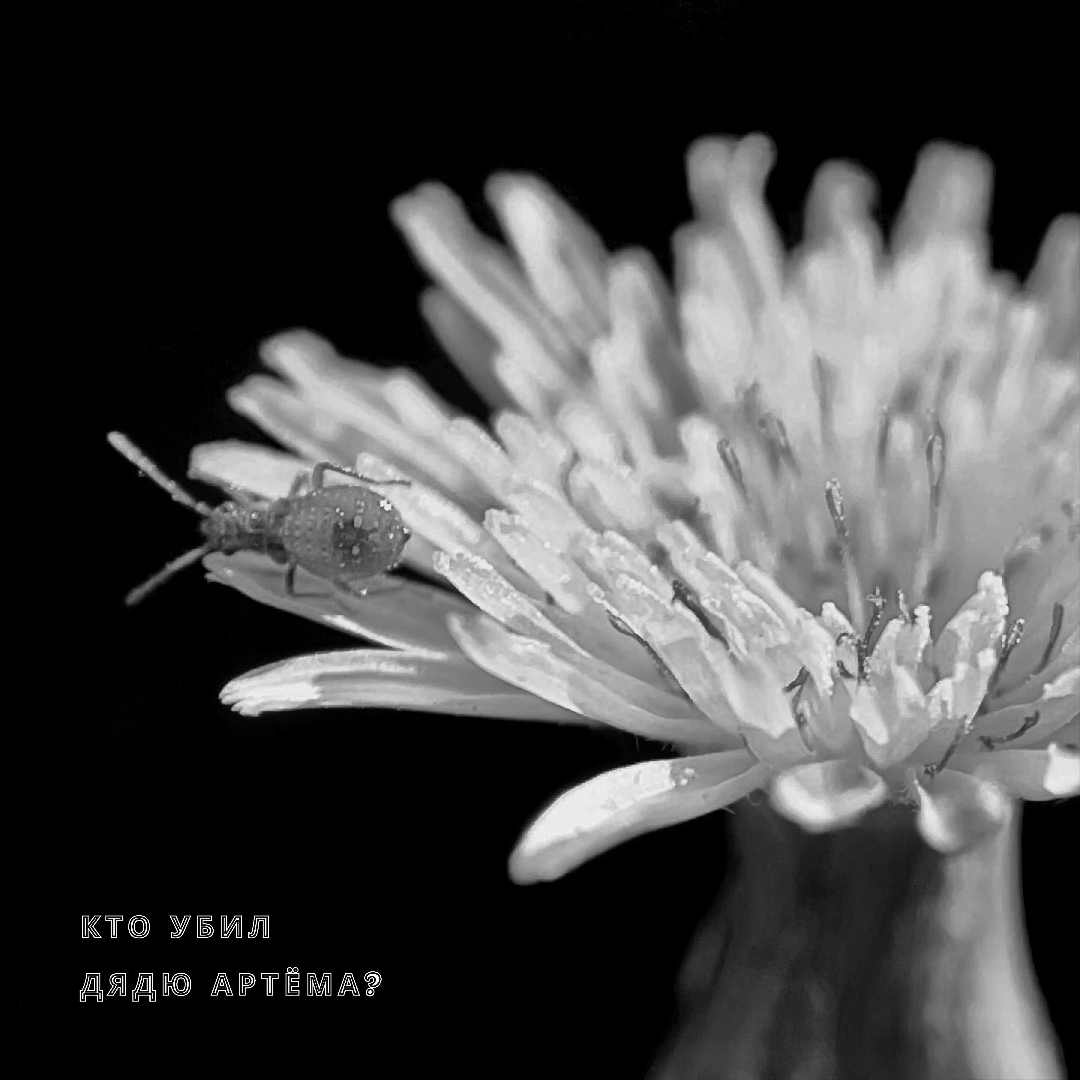 Постер альбома Кто убил Дядю Артёма?