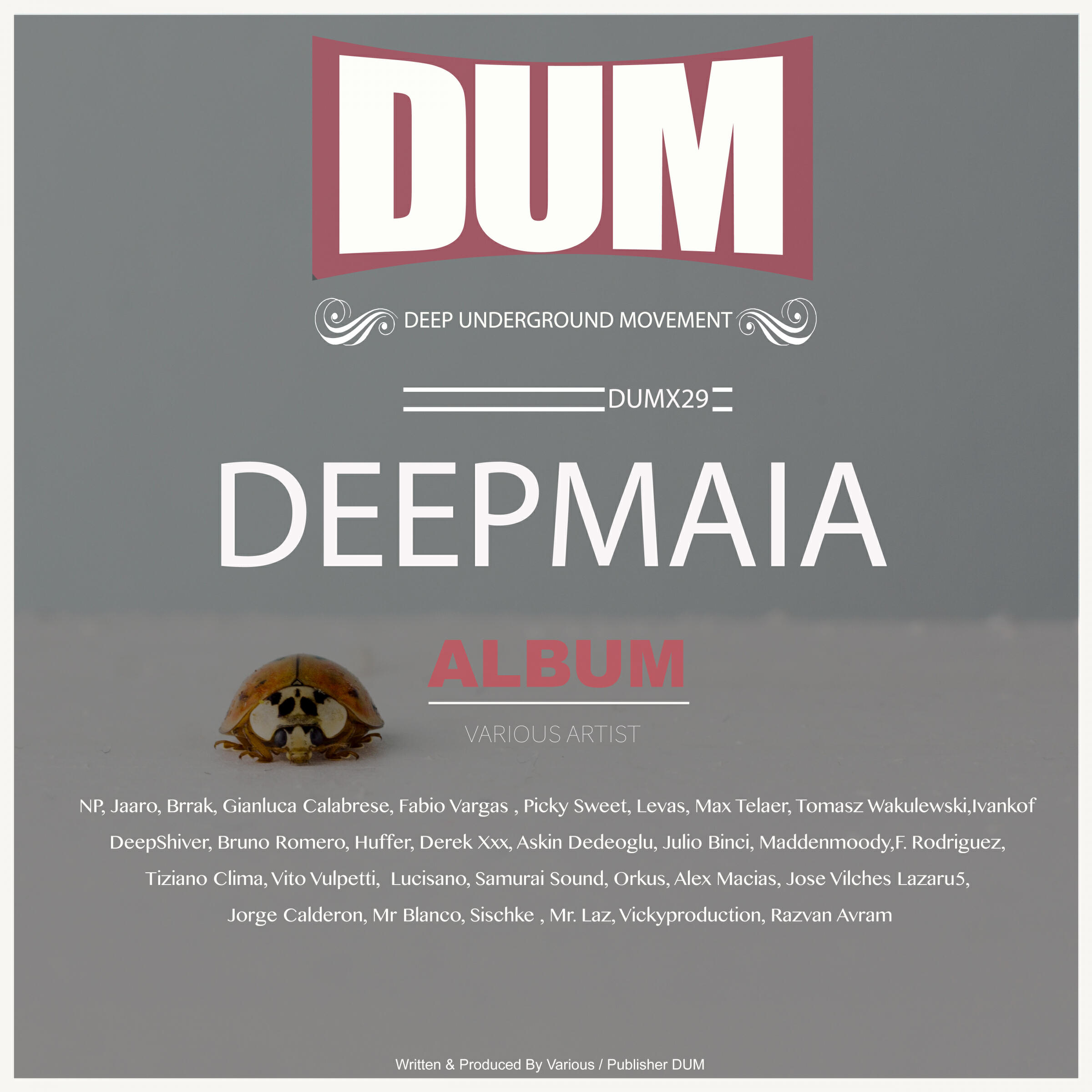 Релиз DEEPMAIA