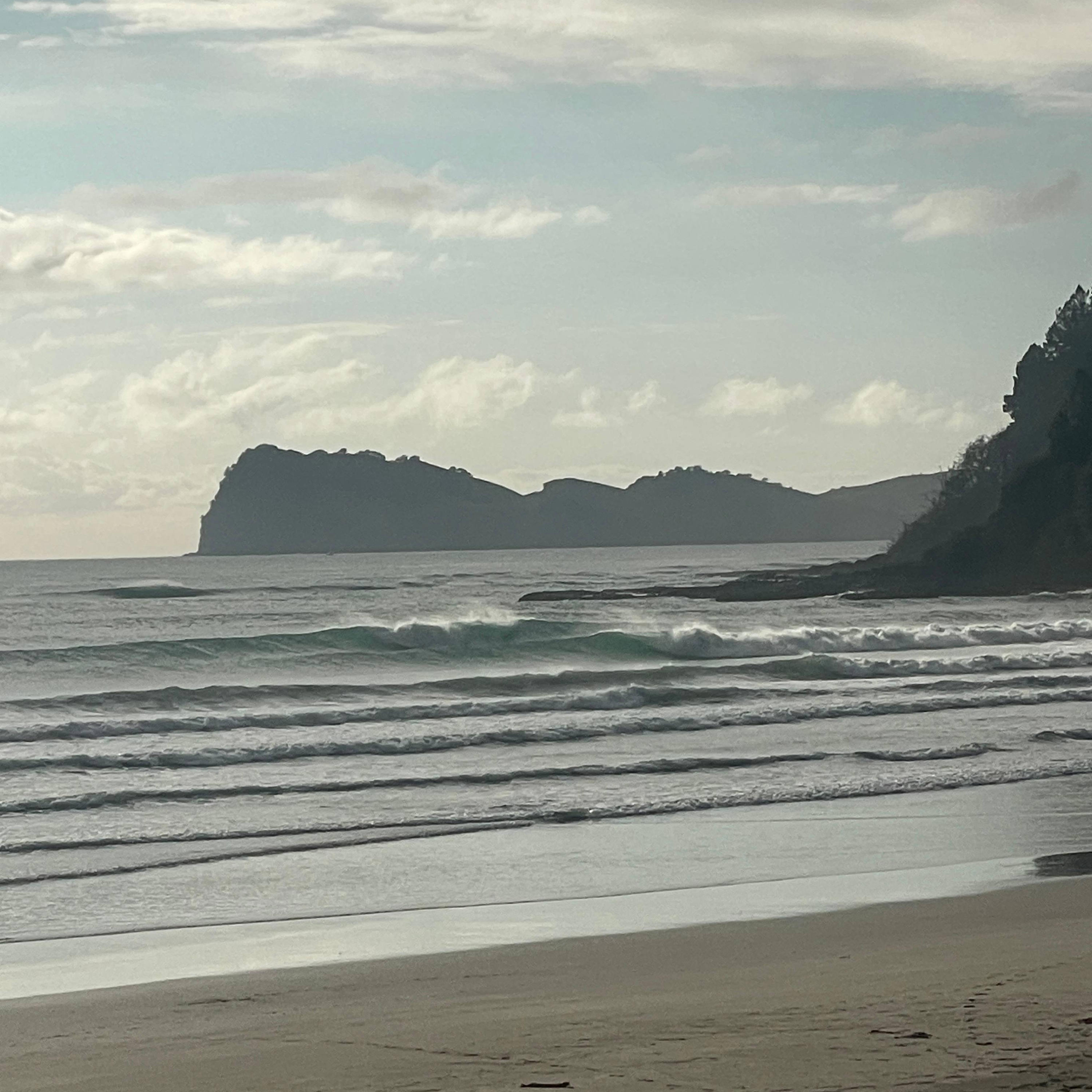 Трек Ocean waves & Fantail song