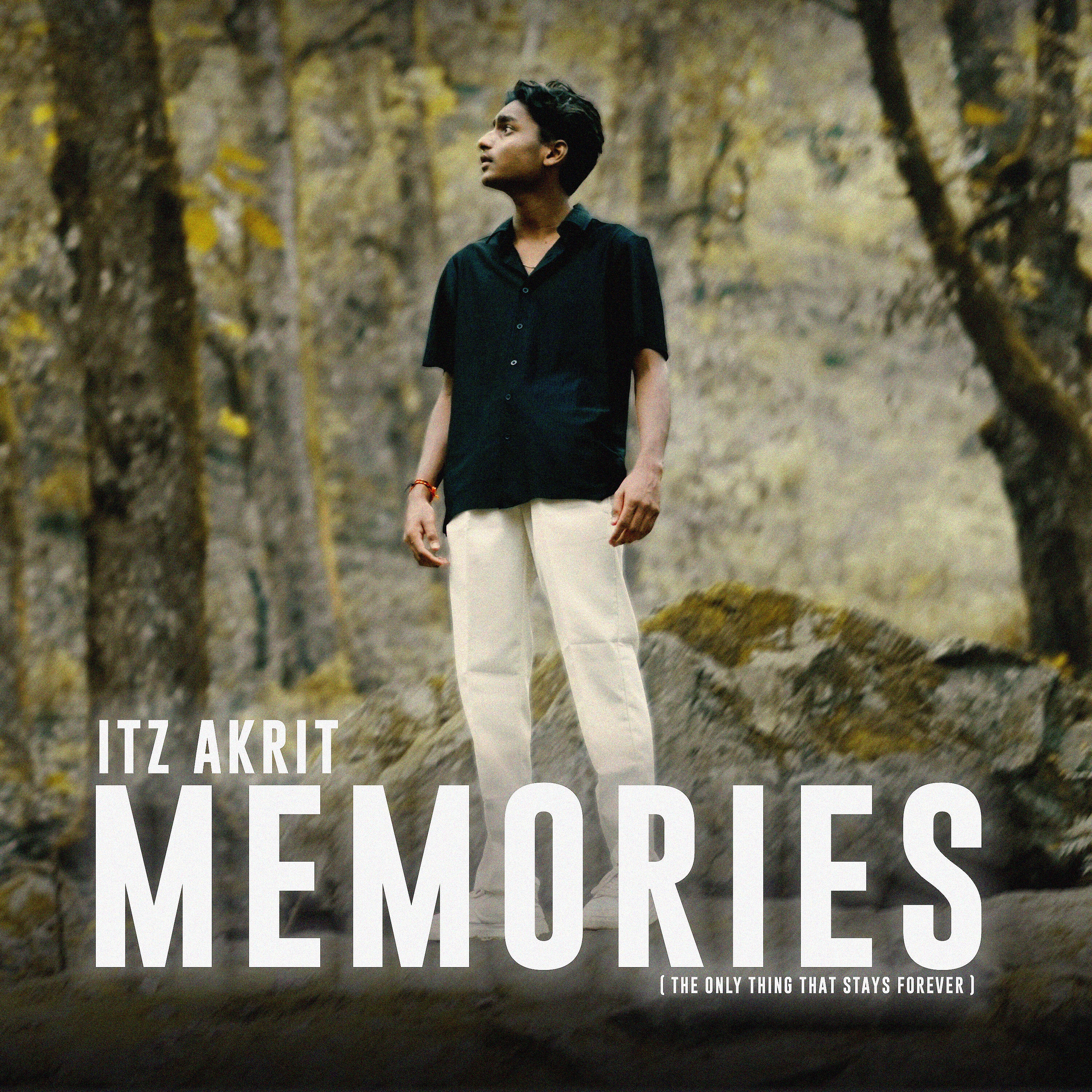 Релиз Memories - the Only Thing That Stays Forever