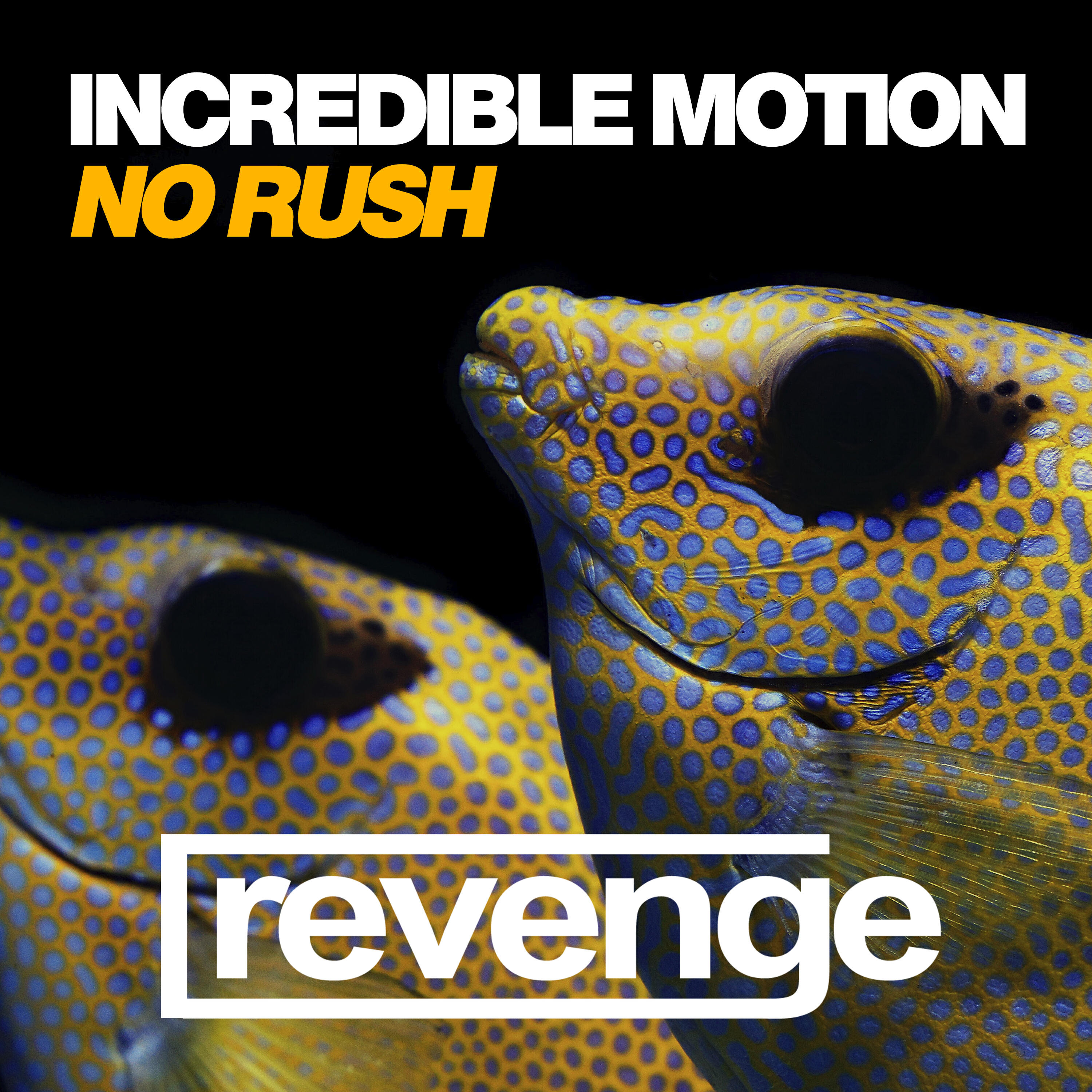 Релиз No Rush