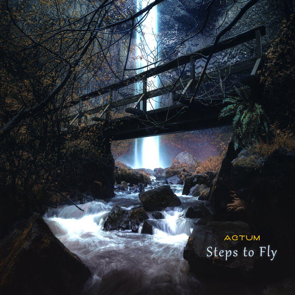 Релиз Steps to Fly